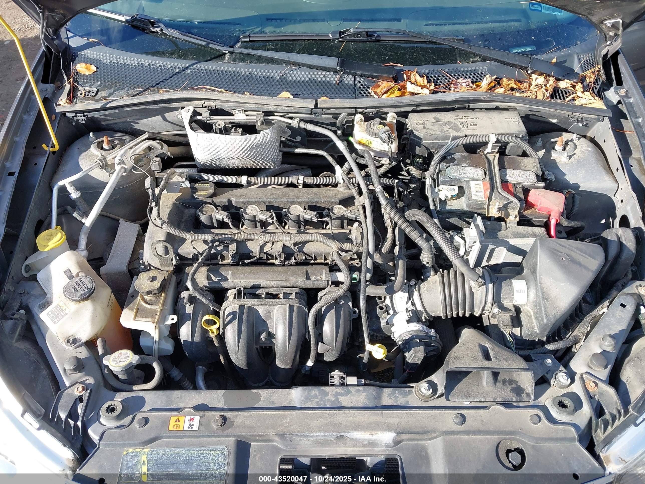 FORD FOCUS image 10