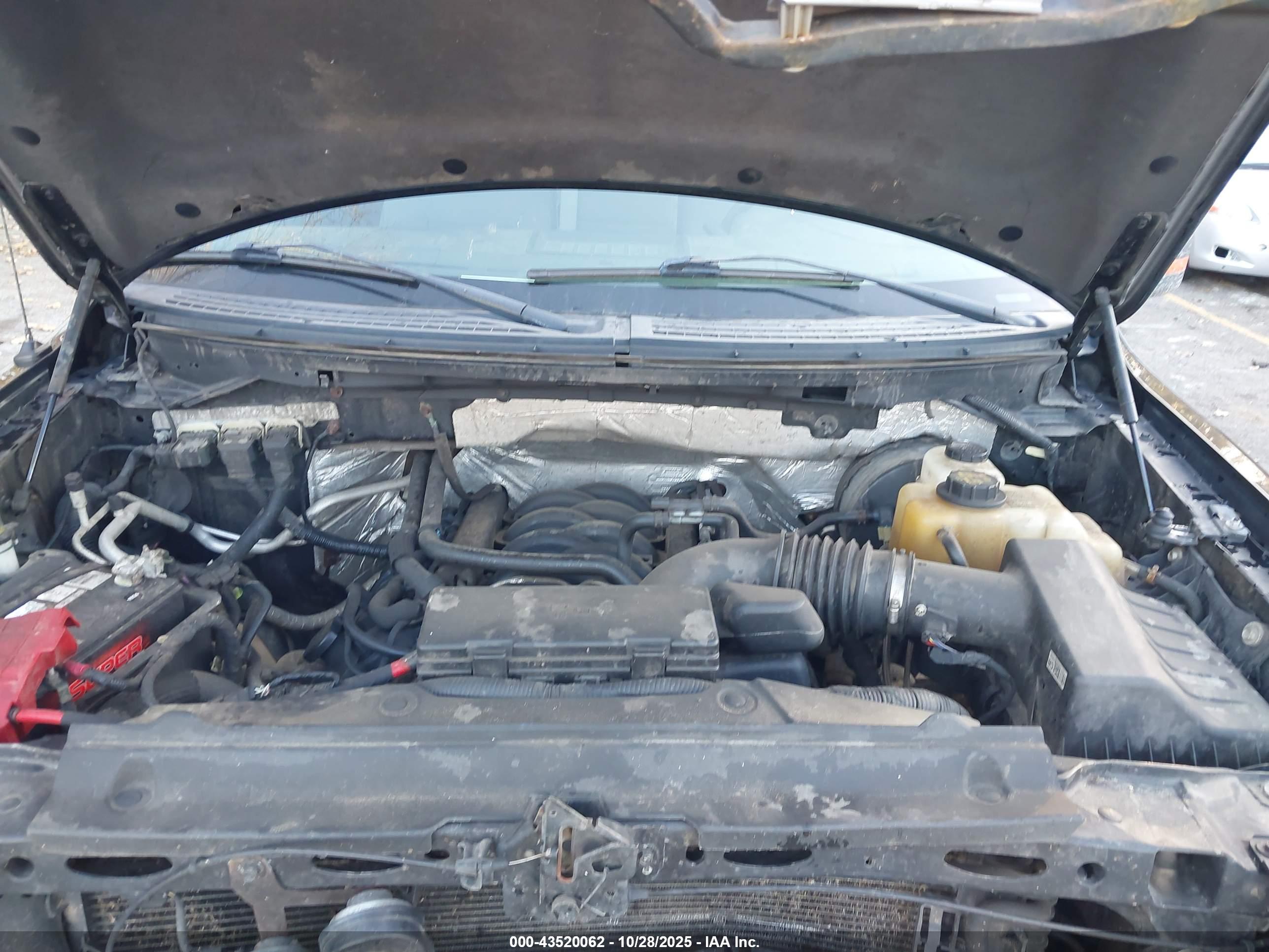 FORD F-150 image 10