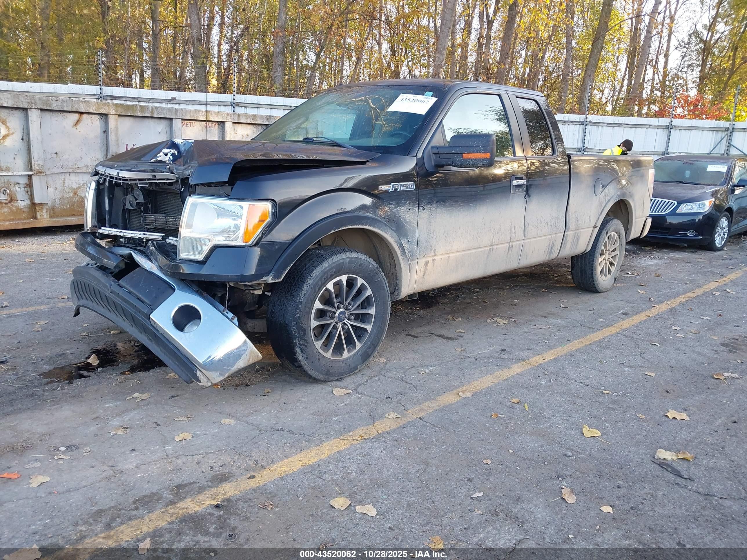 FORD F-150 image 2