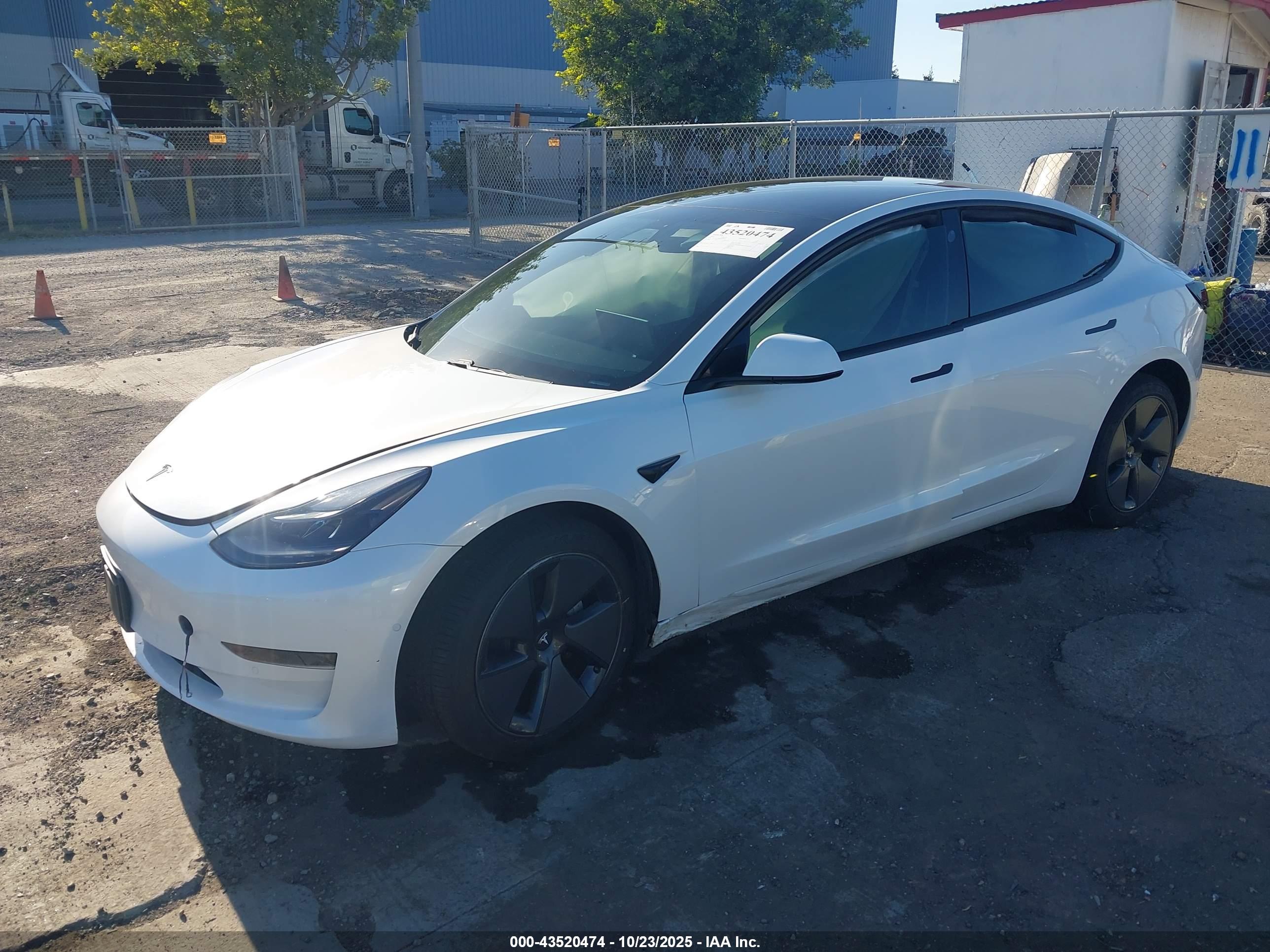 TESLA MODEL image 2