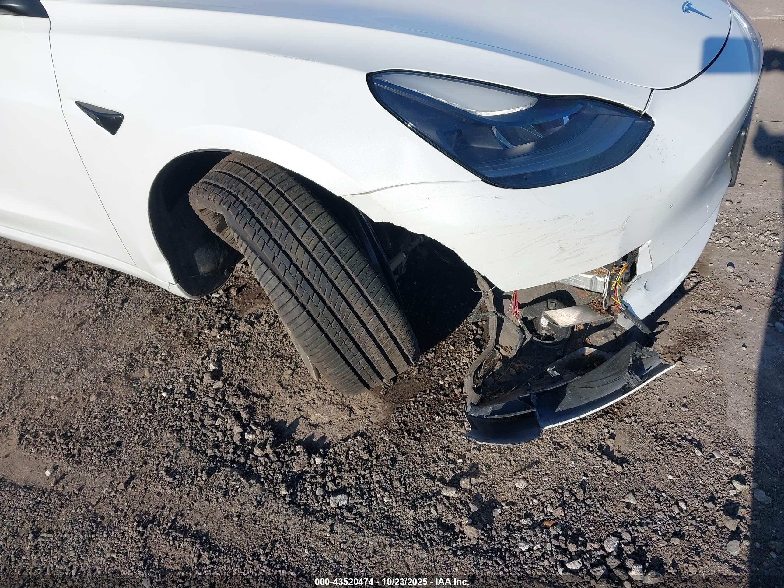 TESLA MODEL image 6