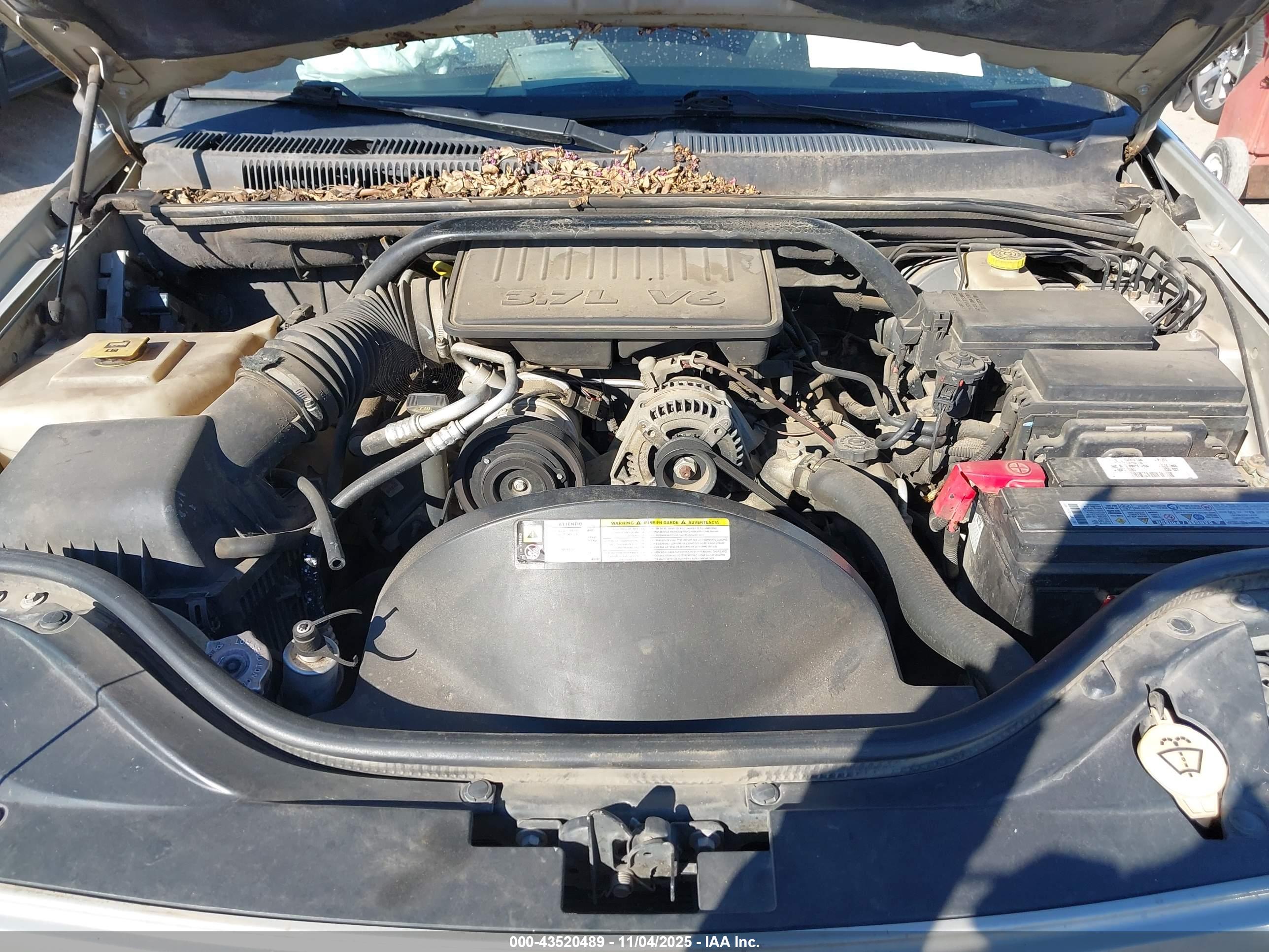 JEEP GRAND image 10