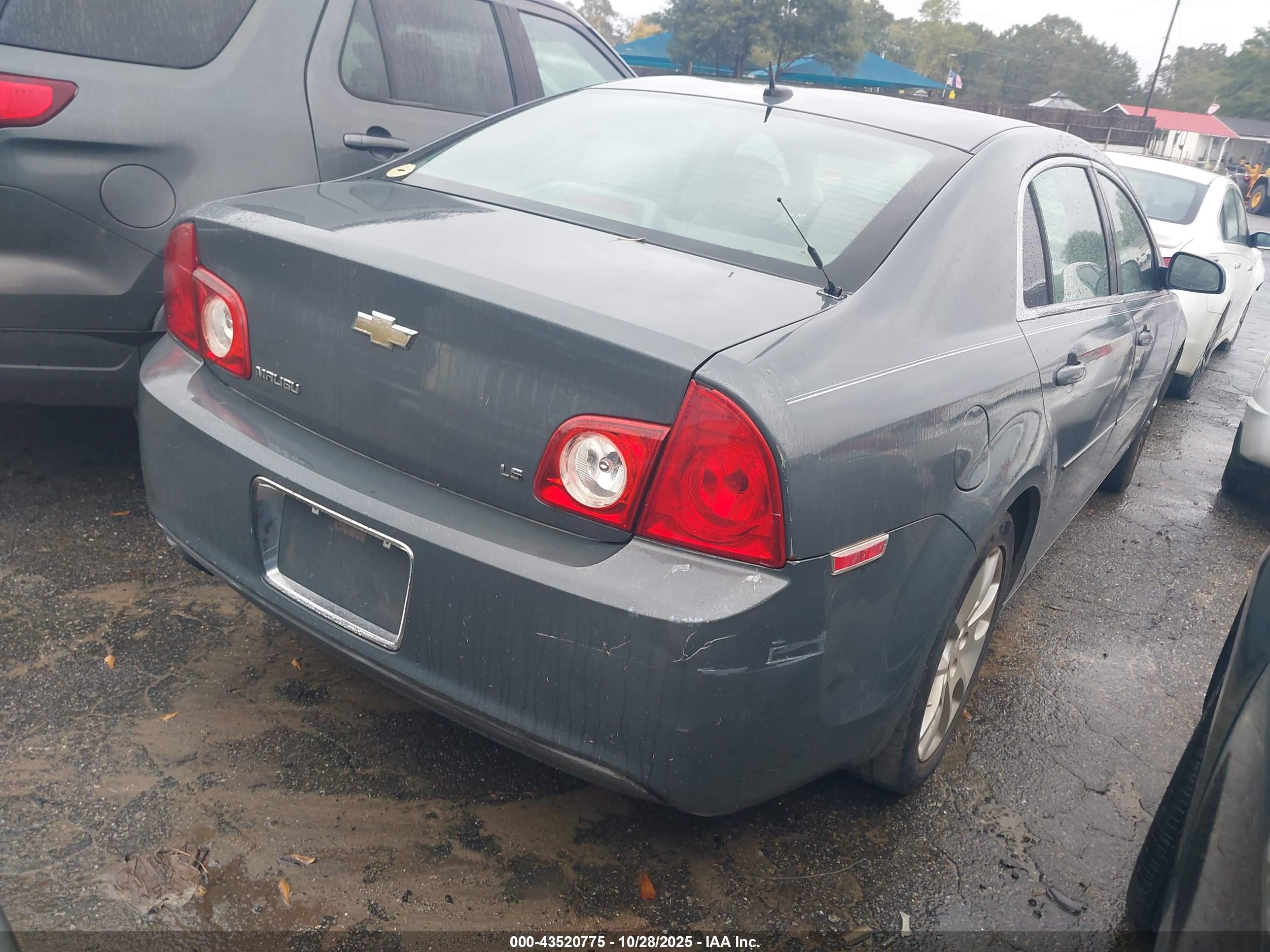 CHEVROLET MALIBU image 4