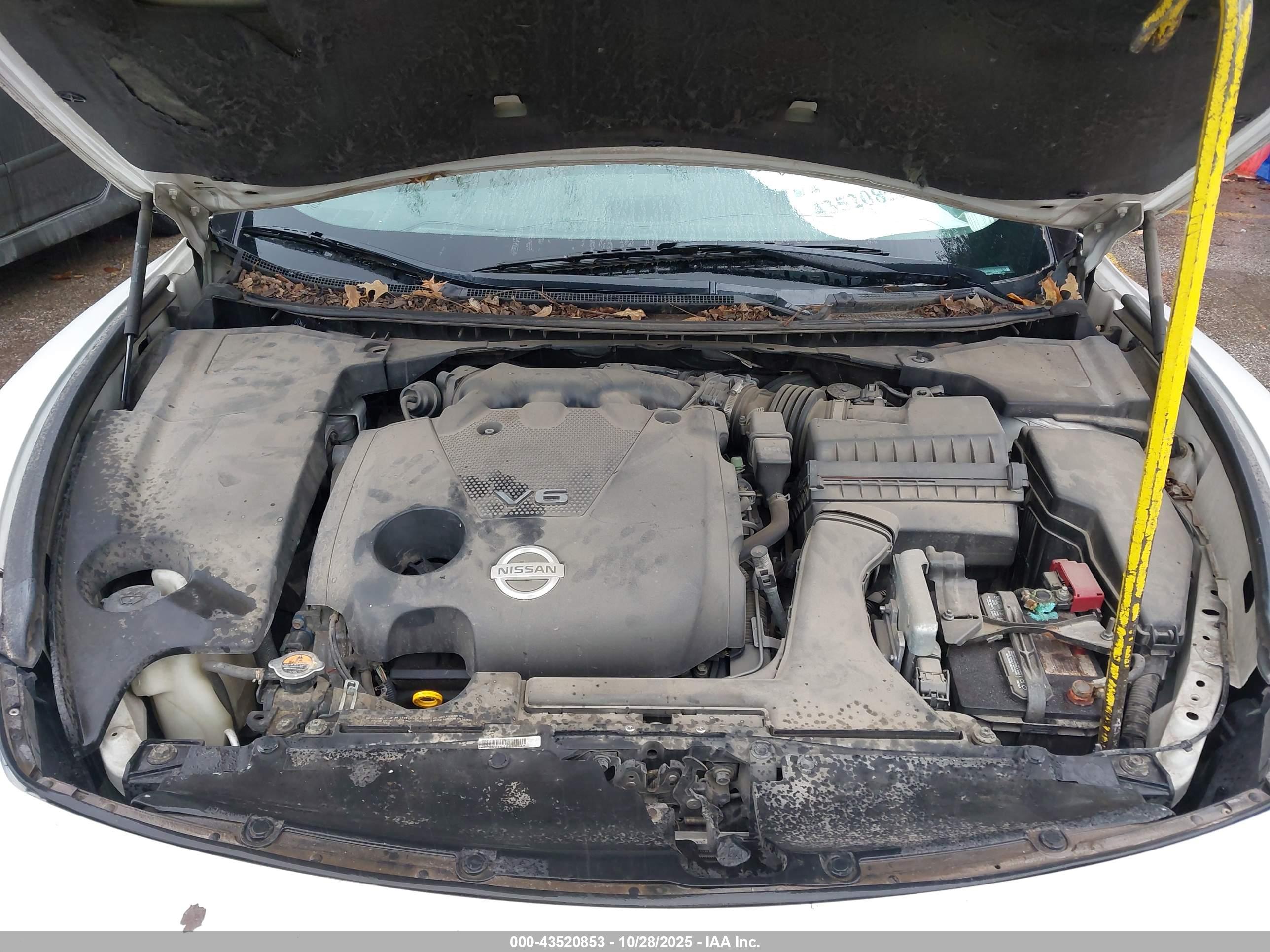 NISSAN MAXIMA image 10
