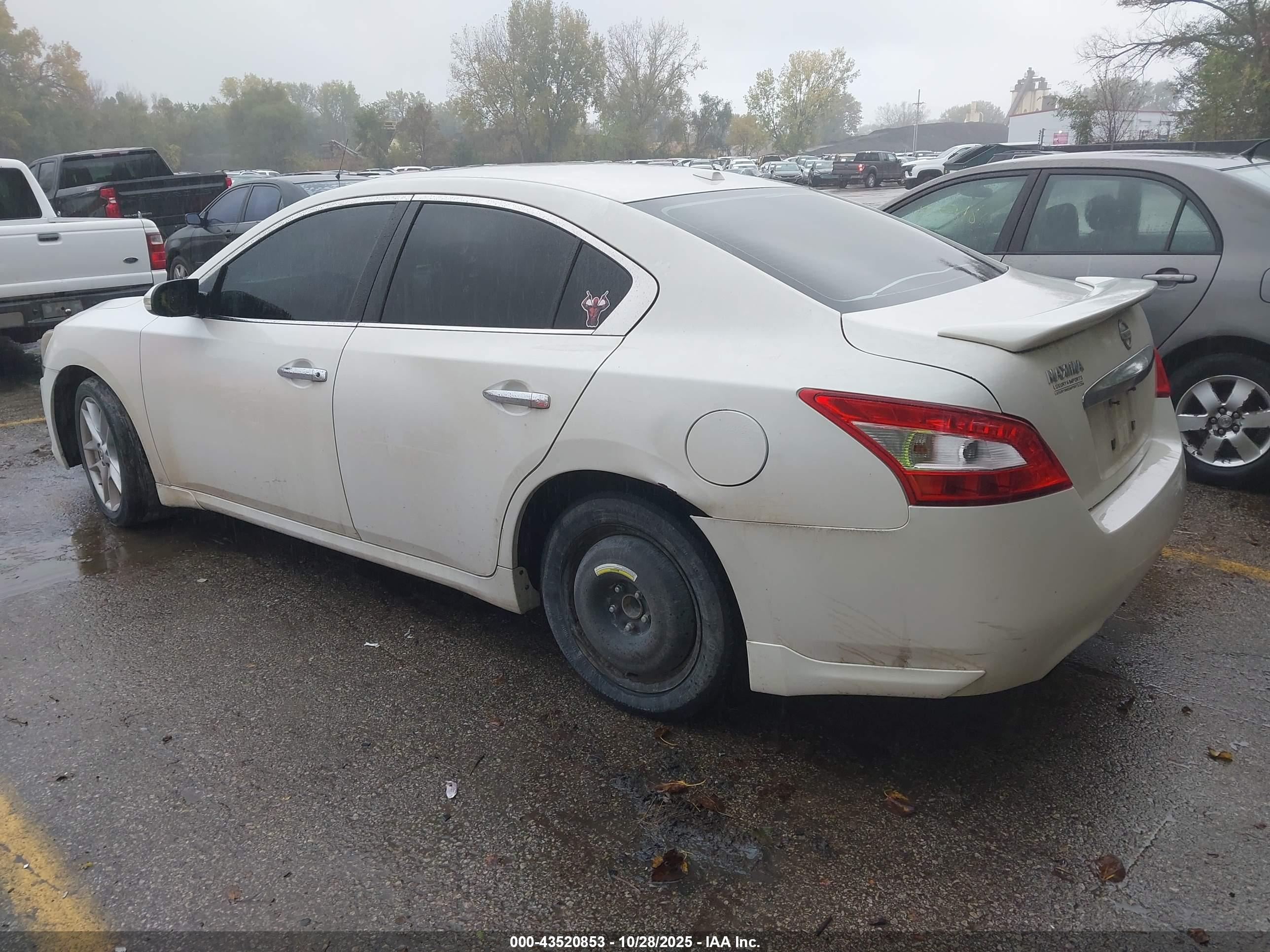NISSAN MAXIMA image 3