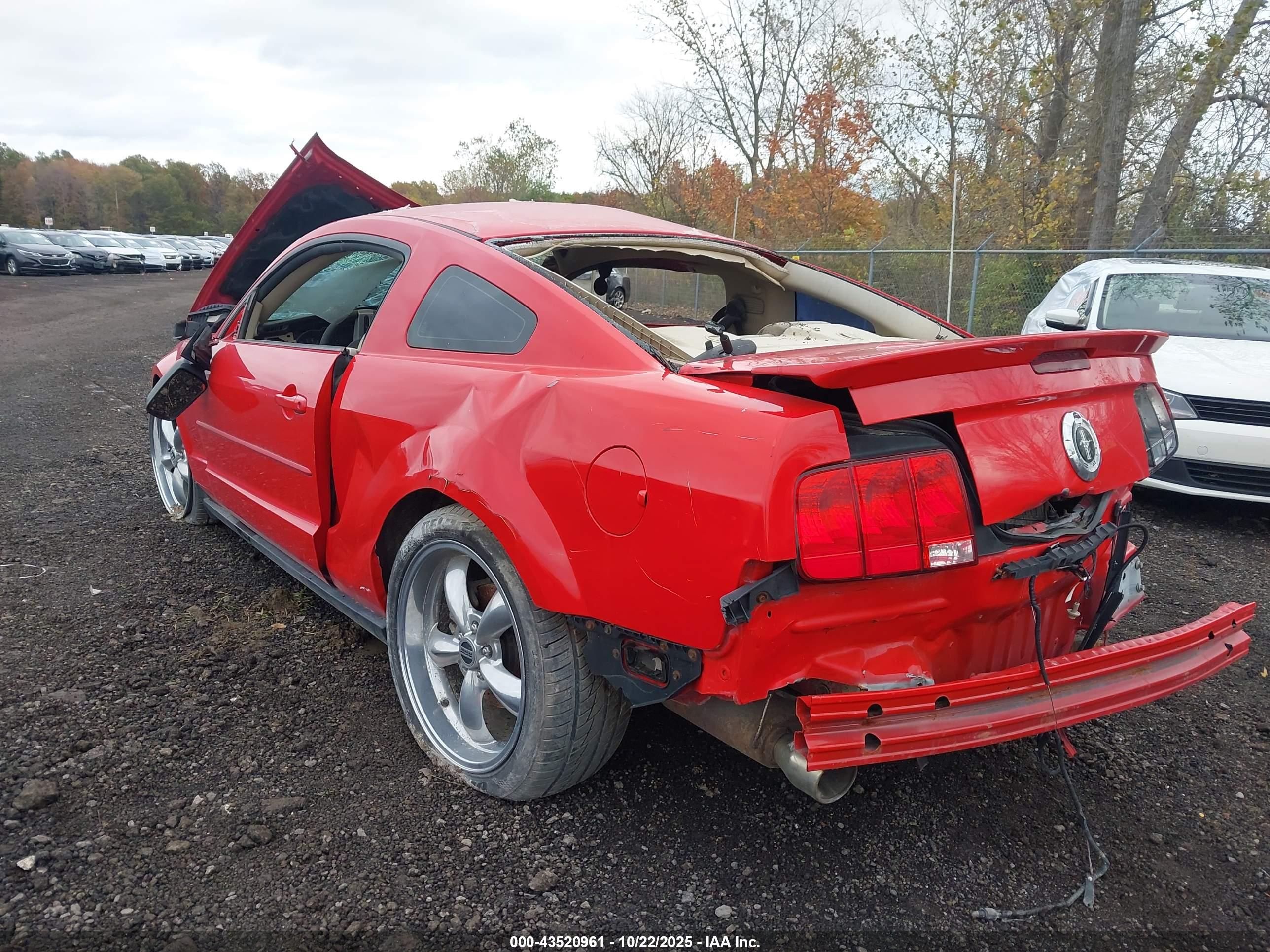 FORD MUSTANG image 3
