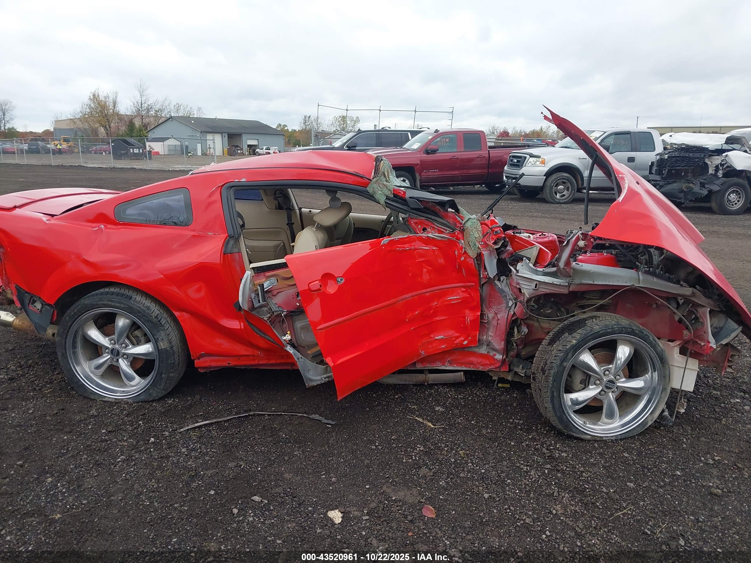FORD MUSTANG image 6