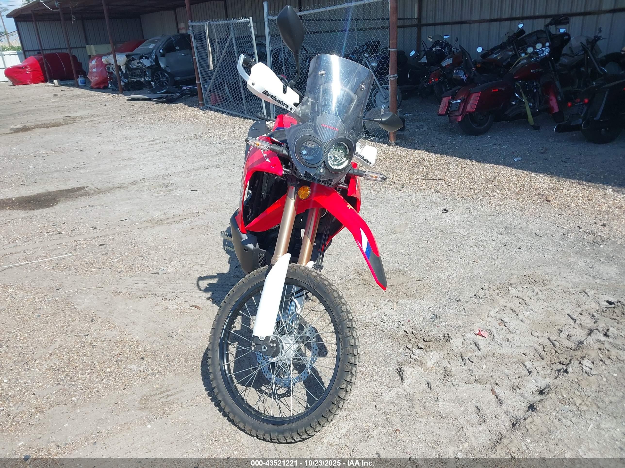 HONDA CRF300 image 5
