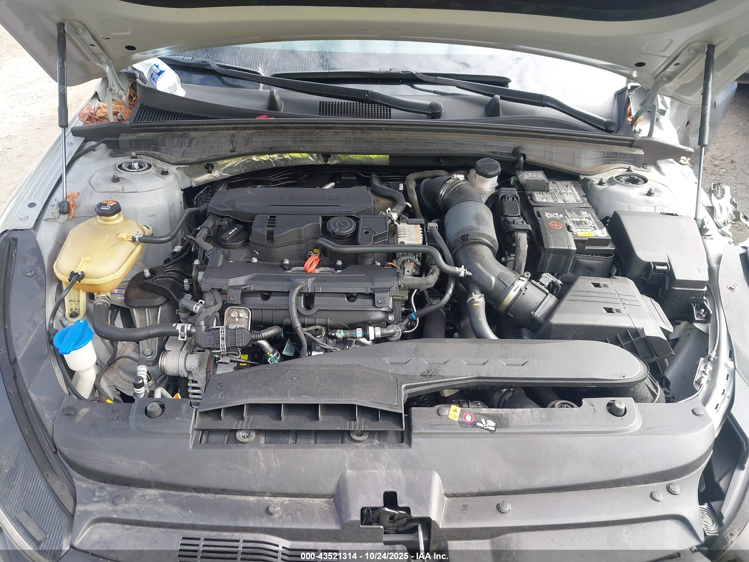 KIA K5 image 10