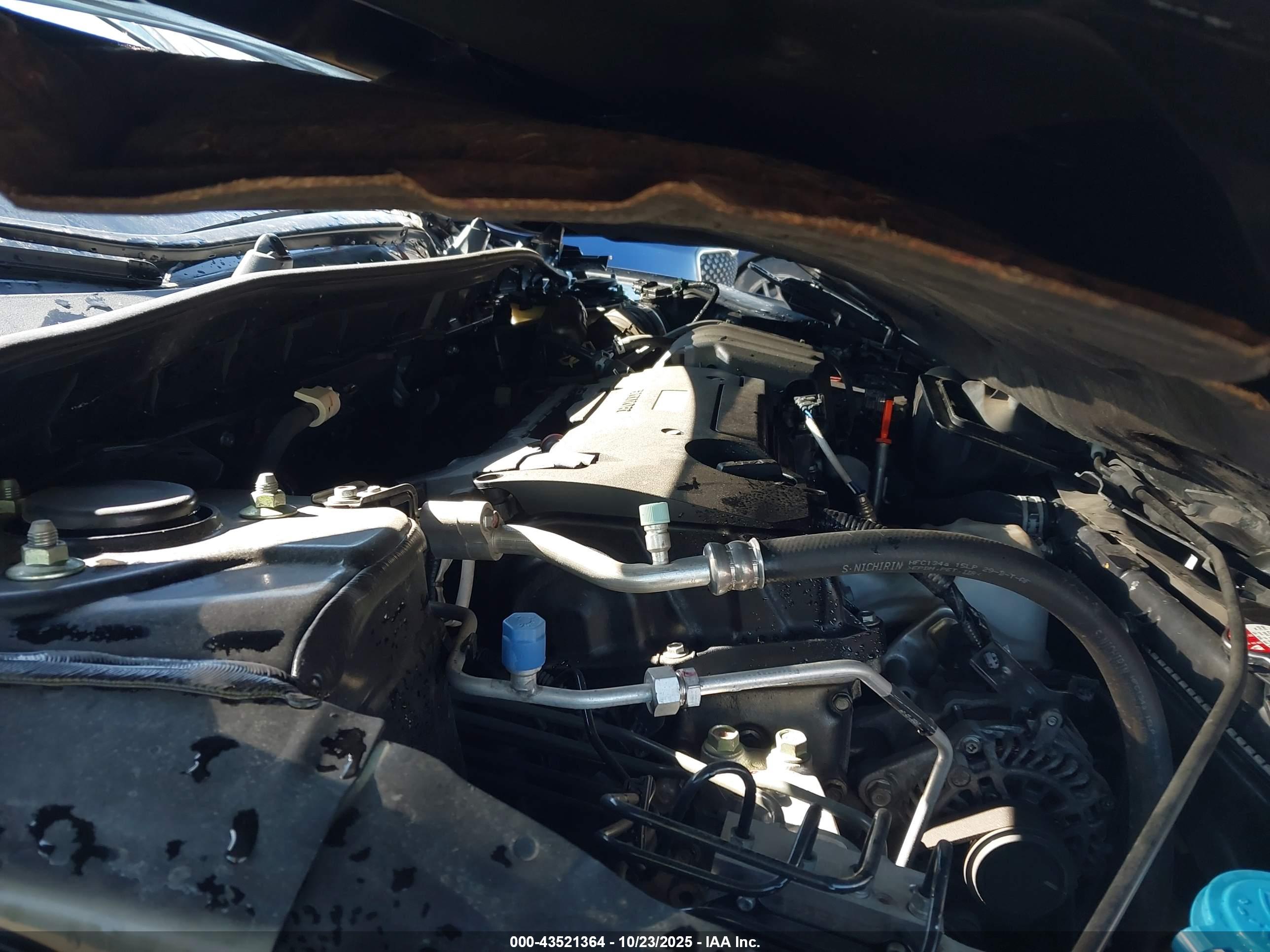 HONDA ACCORD image 10