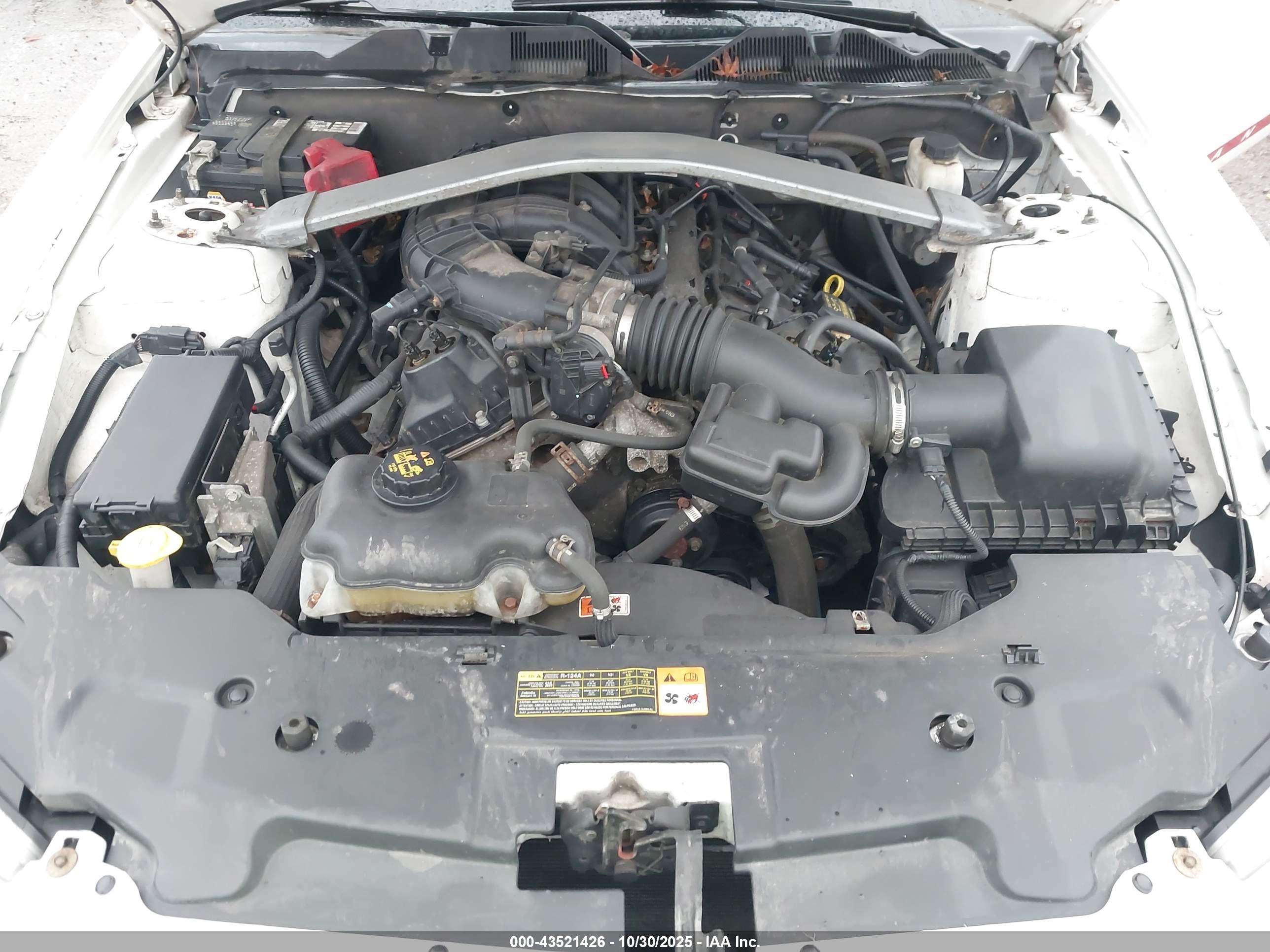 FORD MUSTANG image 10
