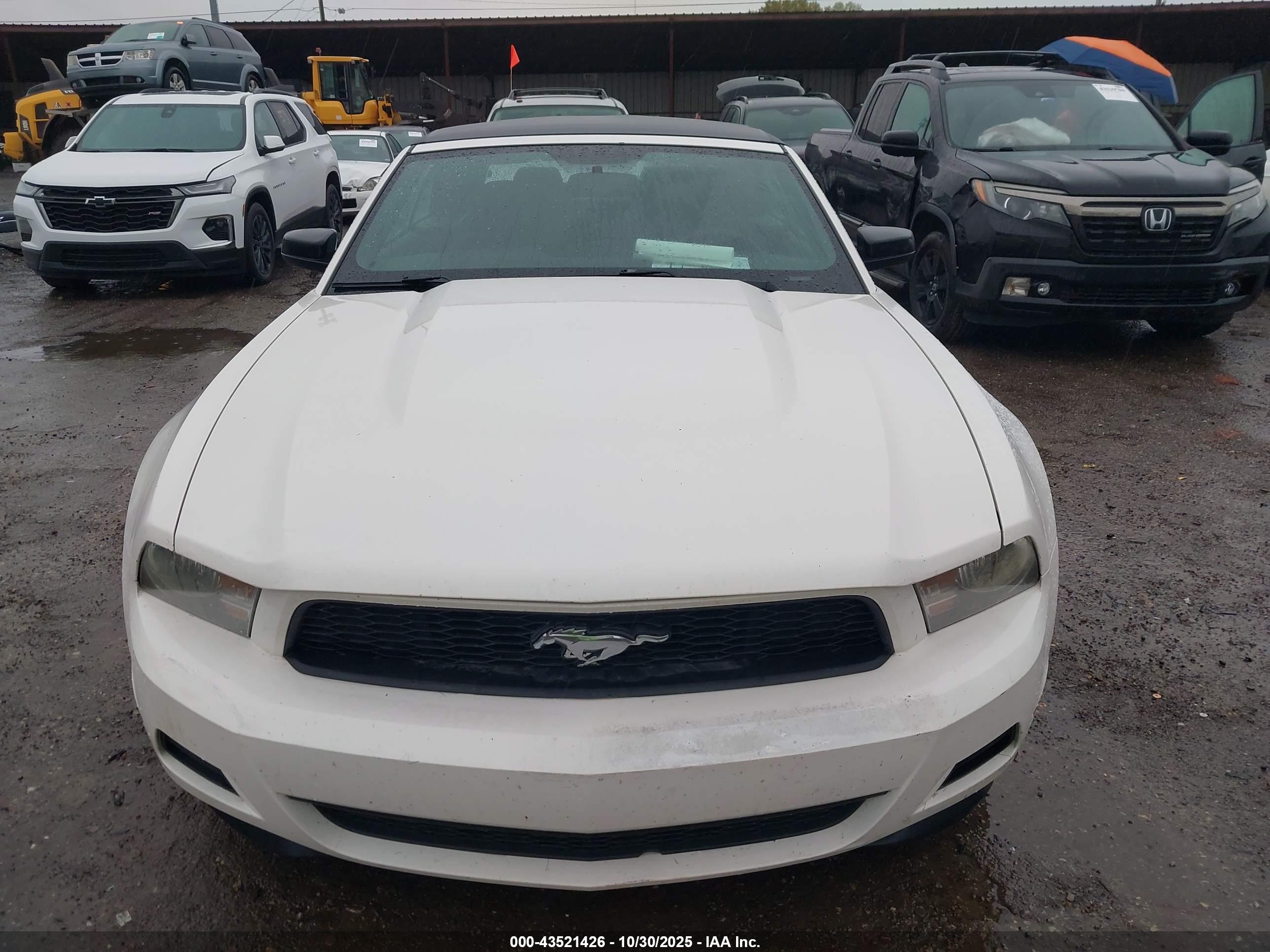 FORD MUSTANG image 6
