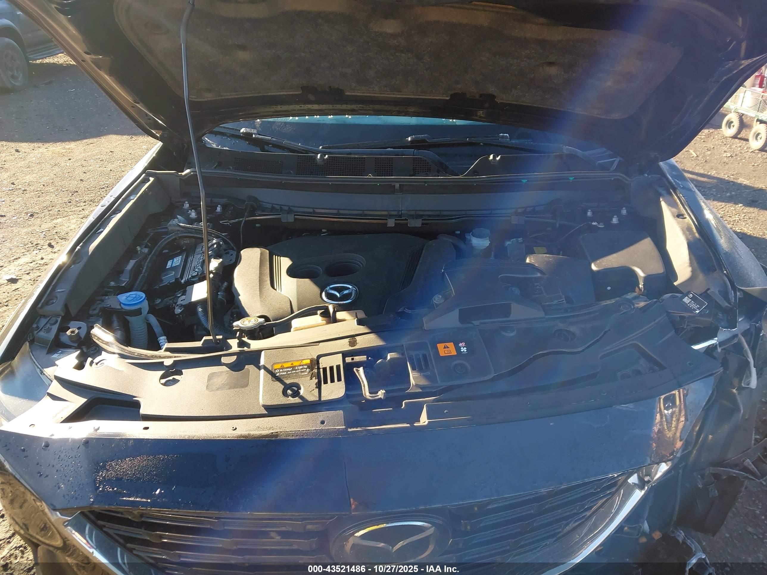 MAZDA CX-9 image 10