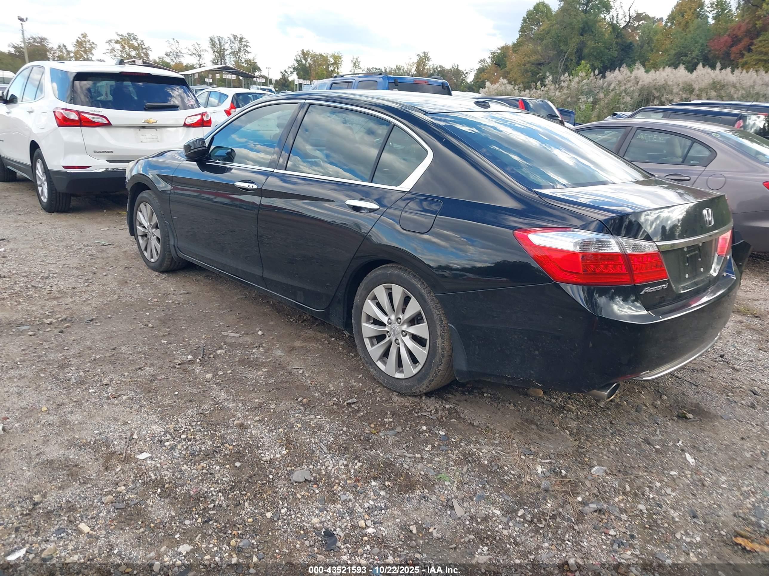 HONDA ACCORD image 3