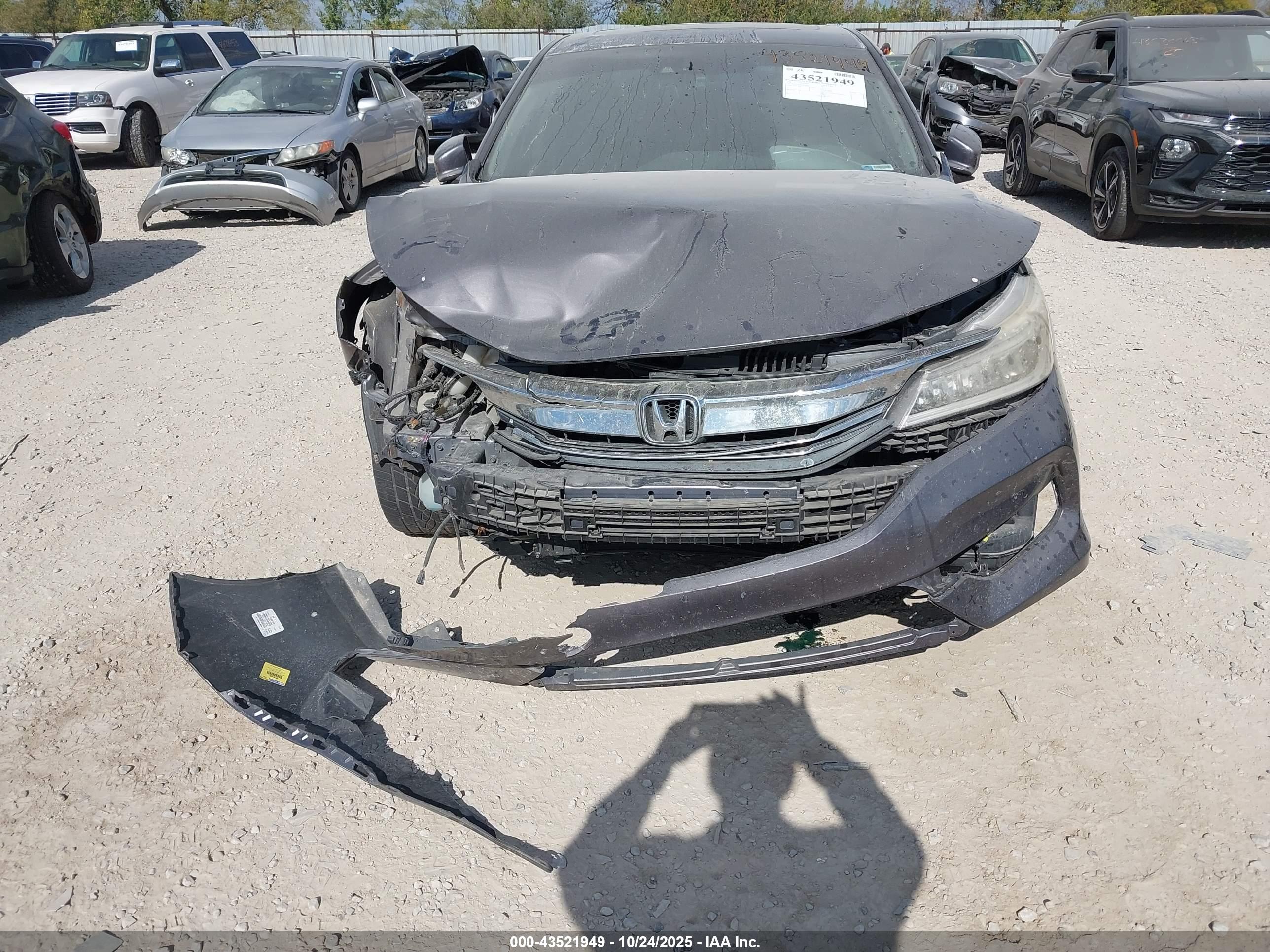 HONDA ACCORD image 6