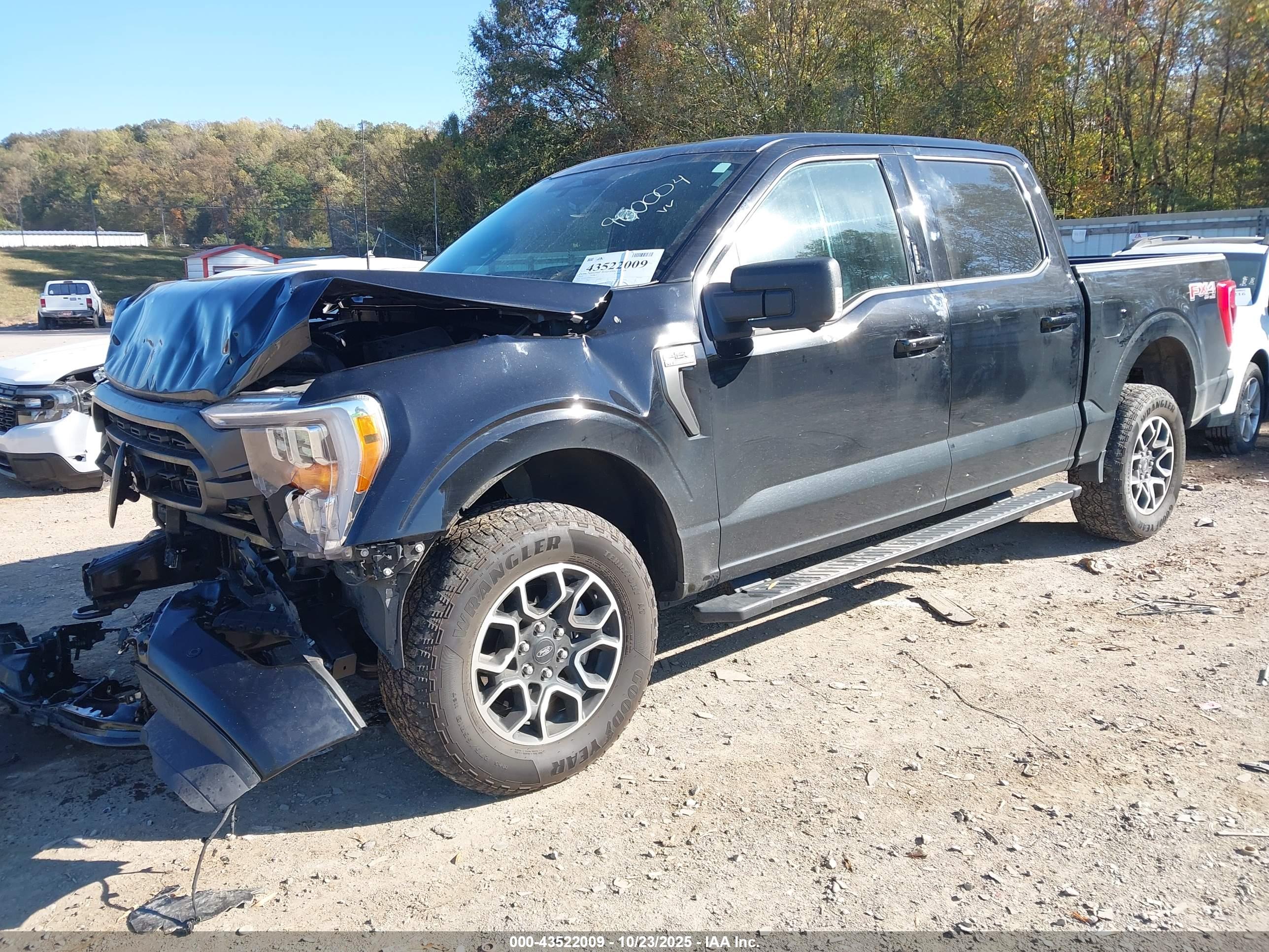 FORD F-150 image 2