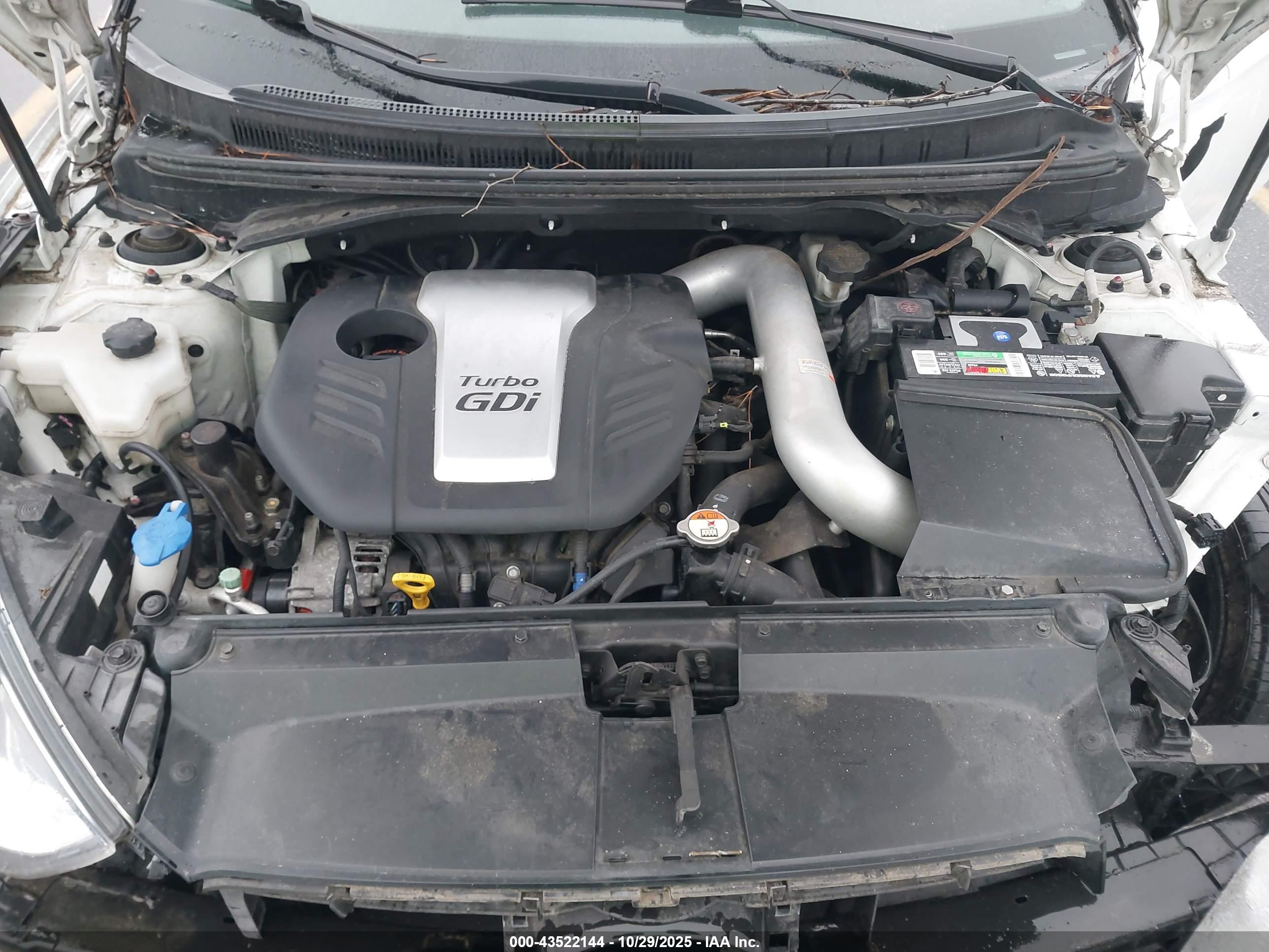 HYUNDAI VELOSTER image 10