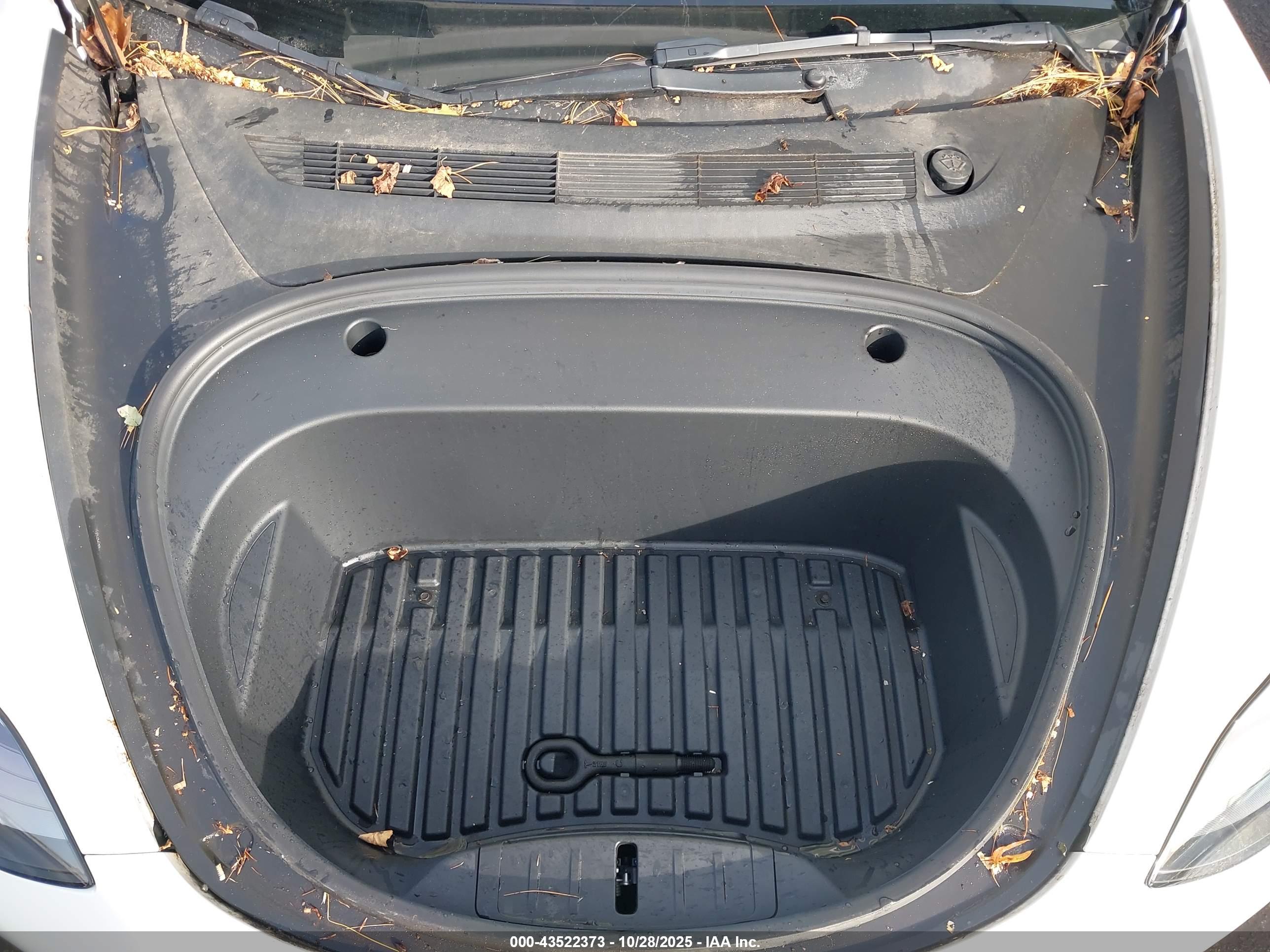 TESLA MODEL image 10