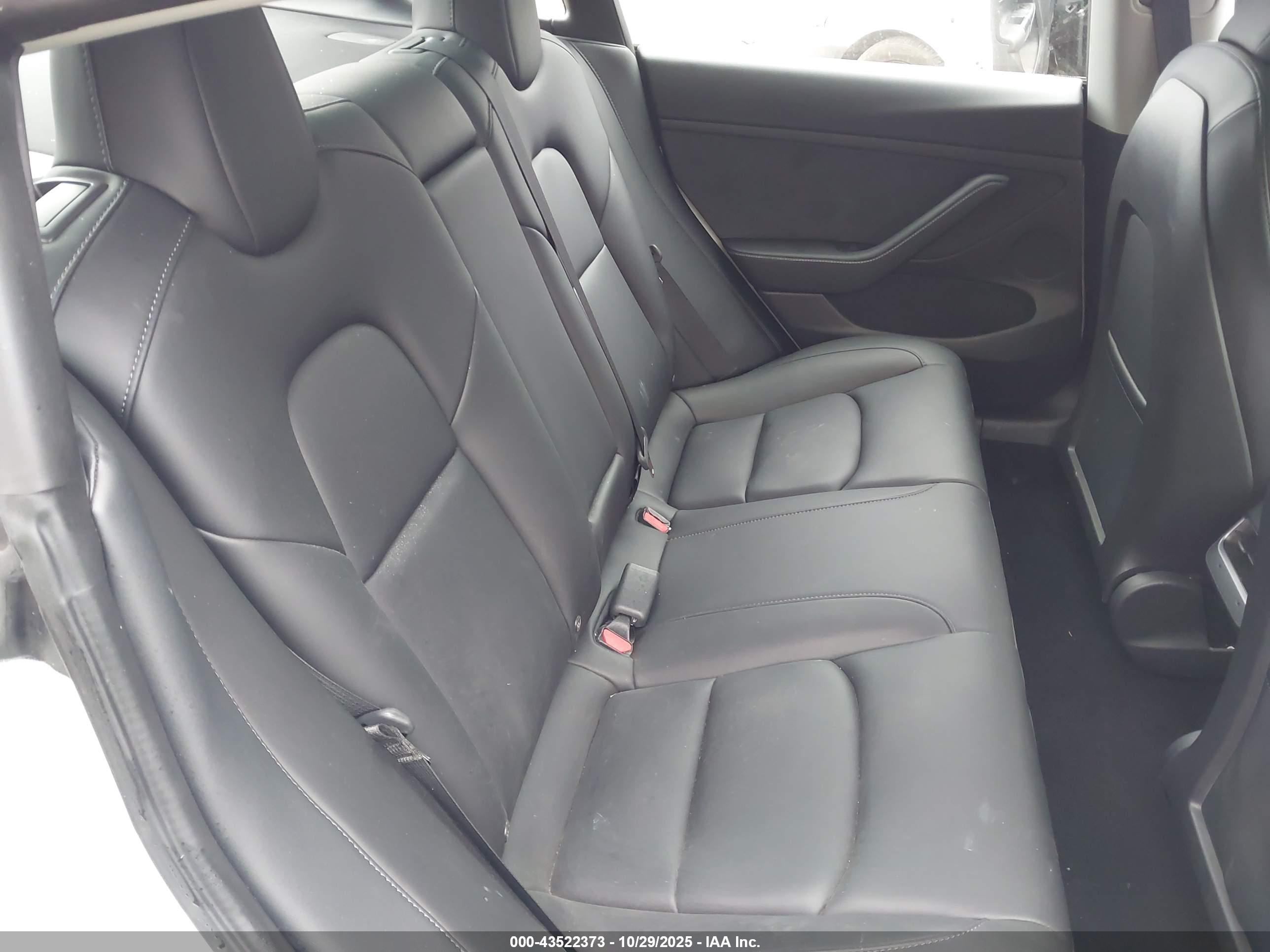 TESLA MODEL image 8