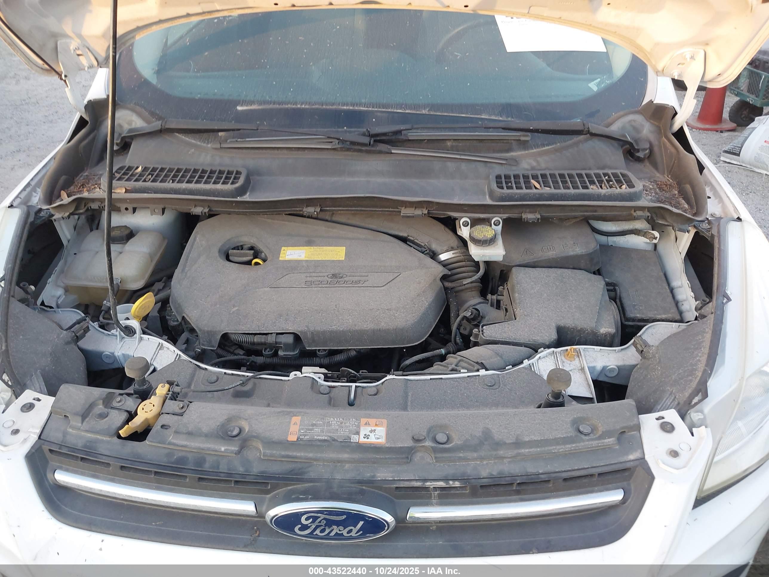 FORD ESCAPE image 10