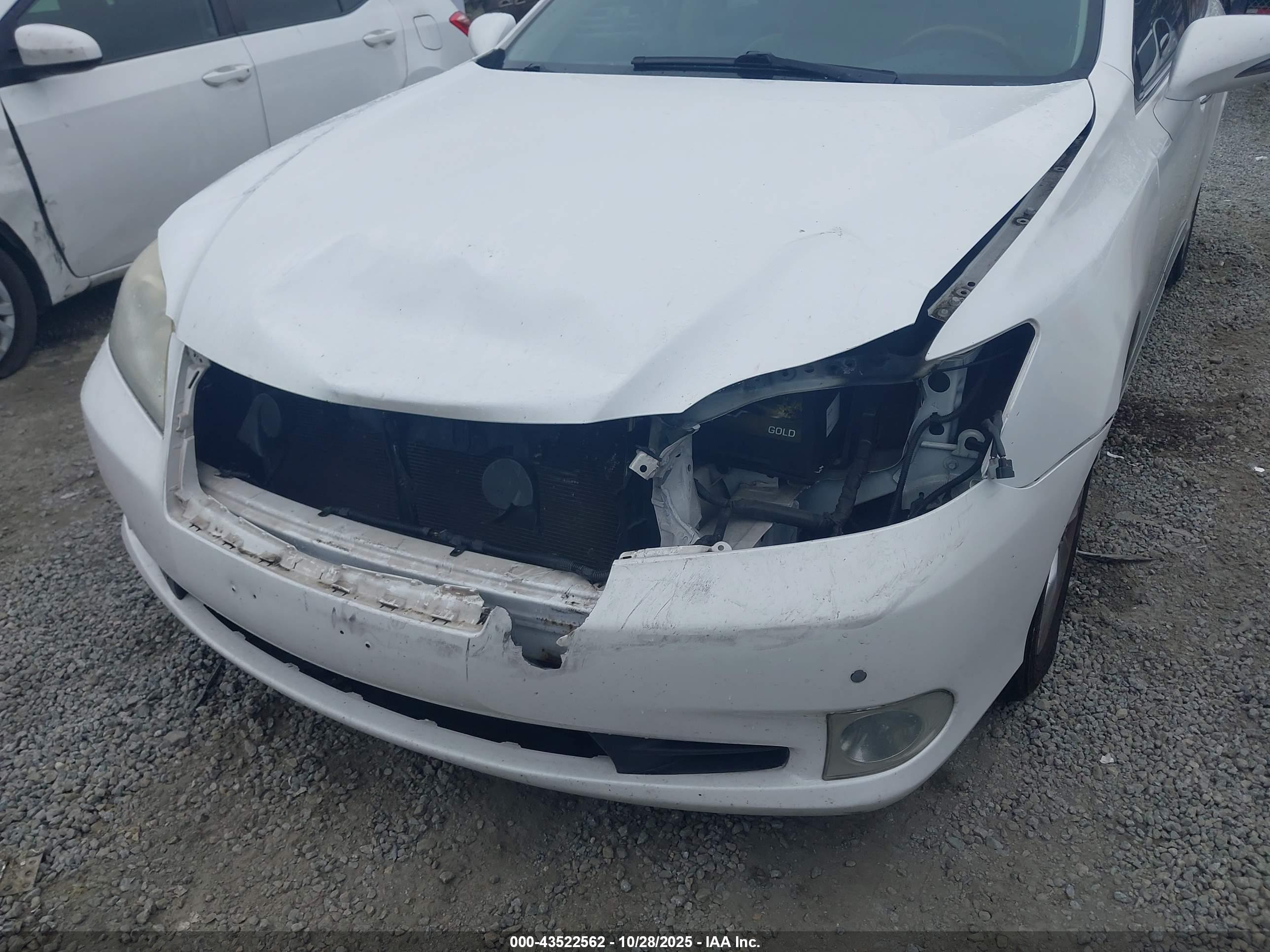 LEXUS ES image 6