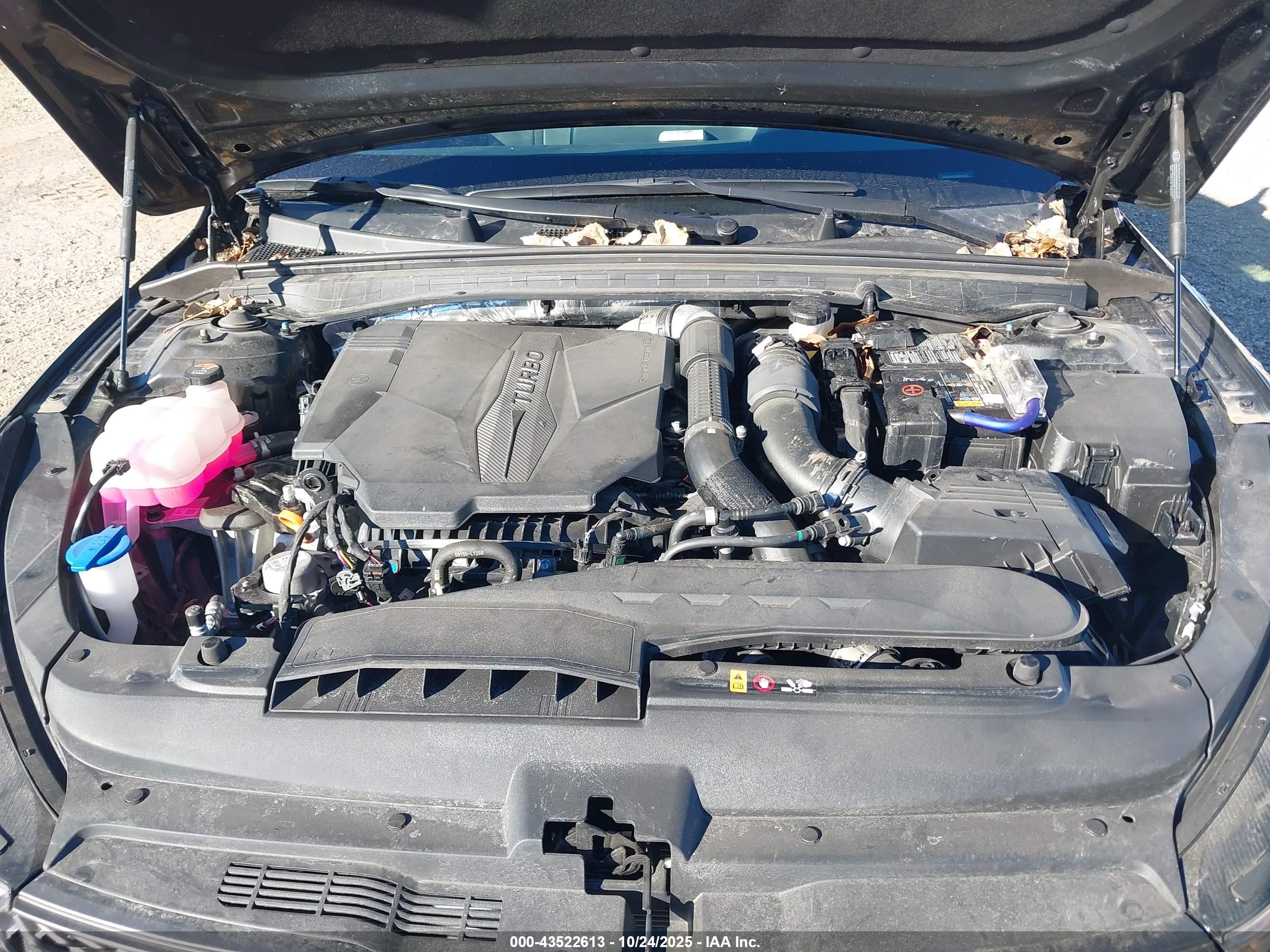 KIA K5 image 10