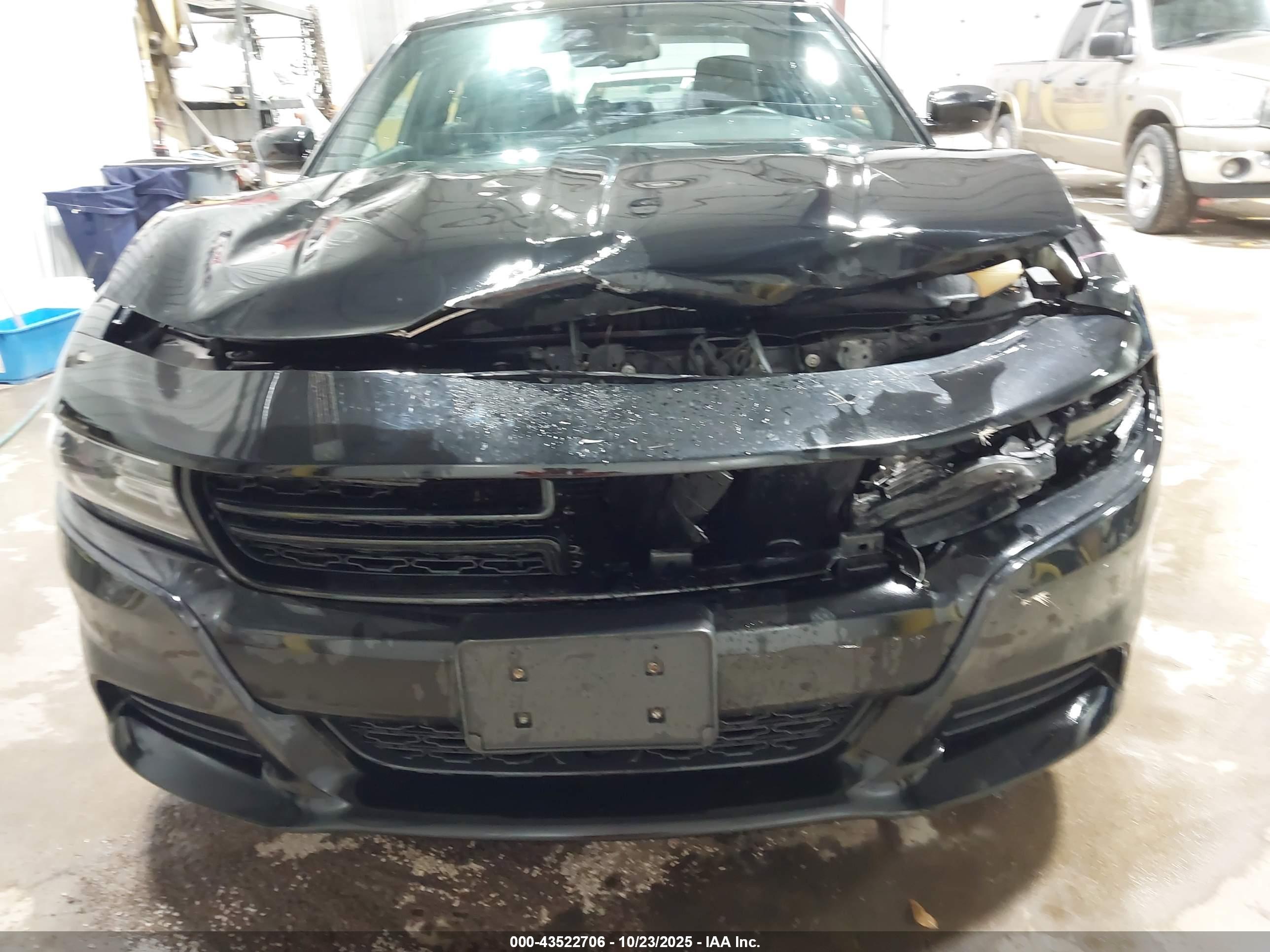 DODGE CHARGER image 6