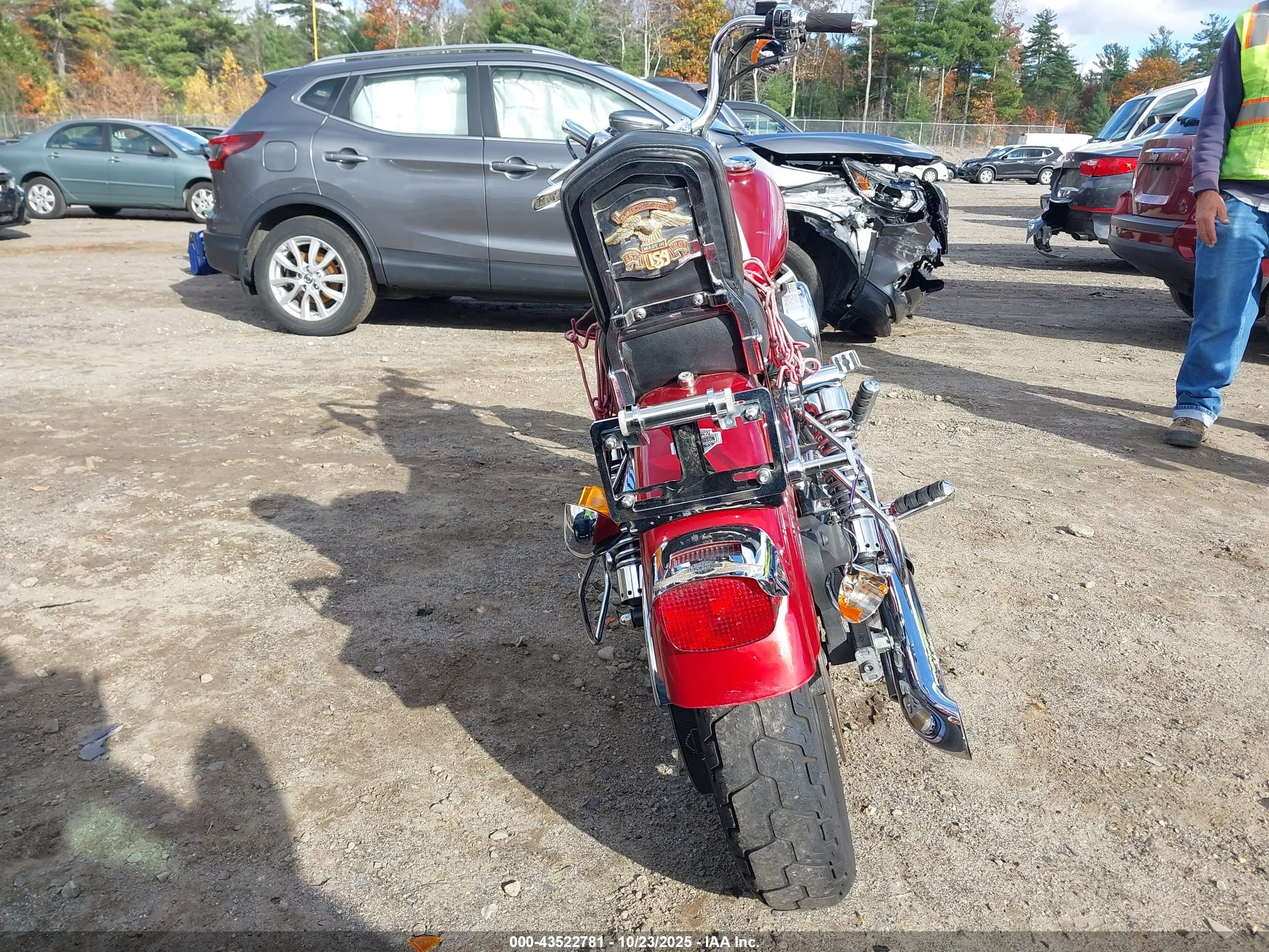 HARLEY-DAVIDSON FXDL image 6