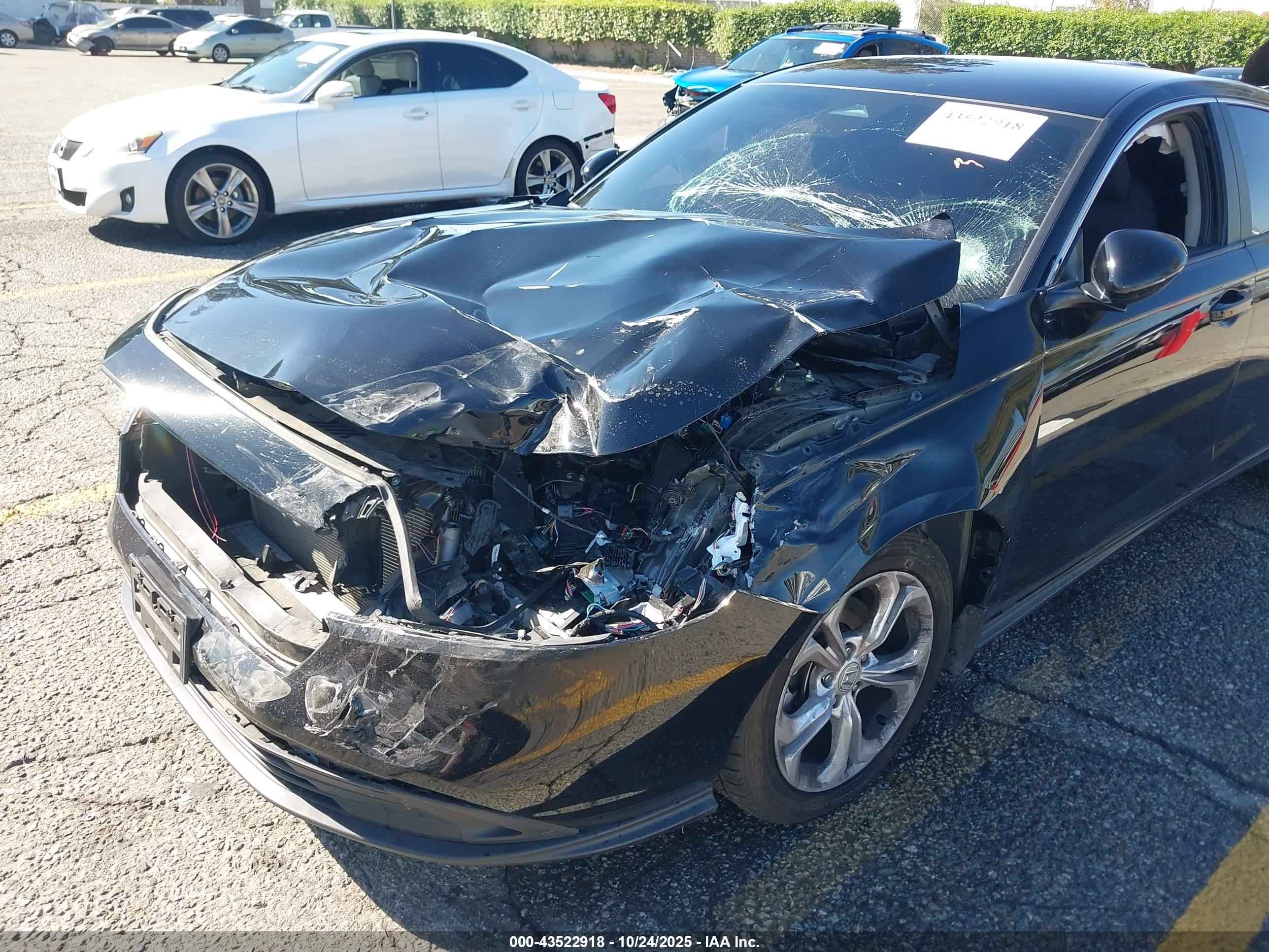 HONDA ACCORD image 6