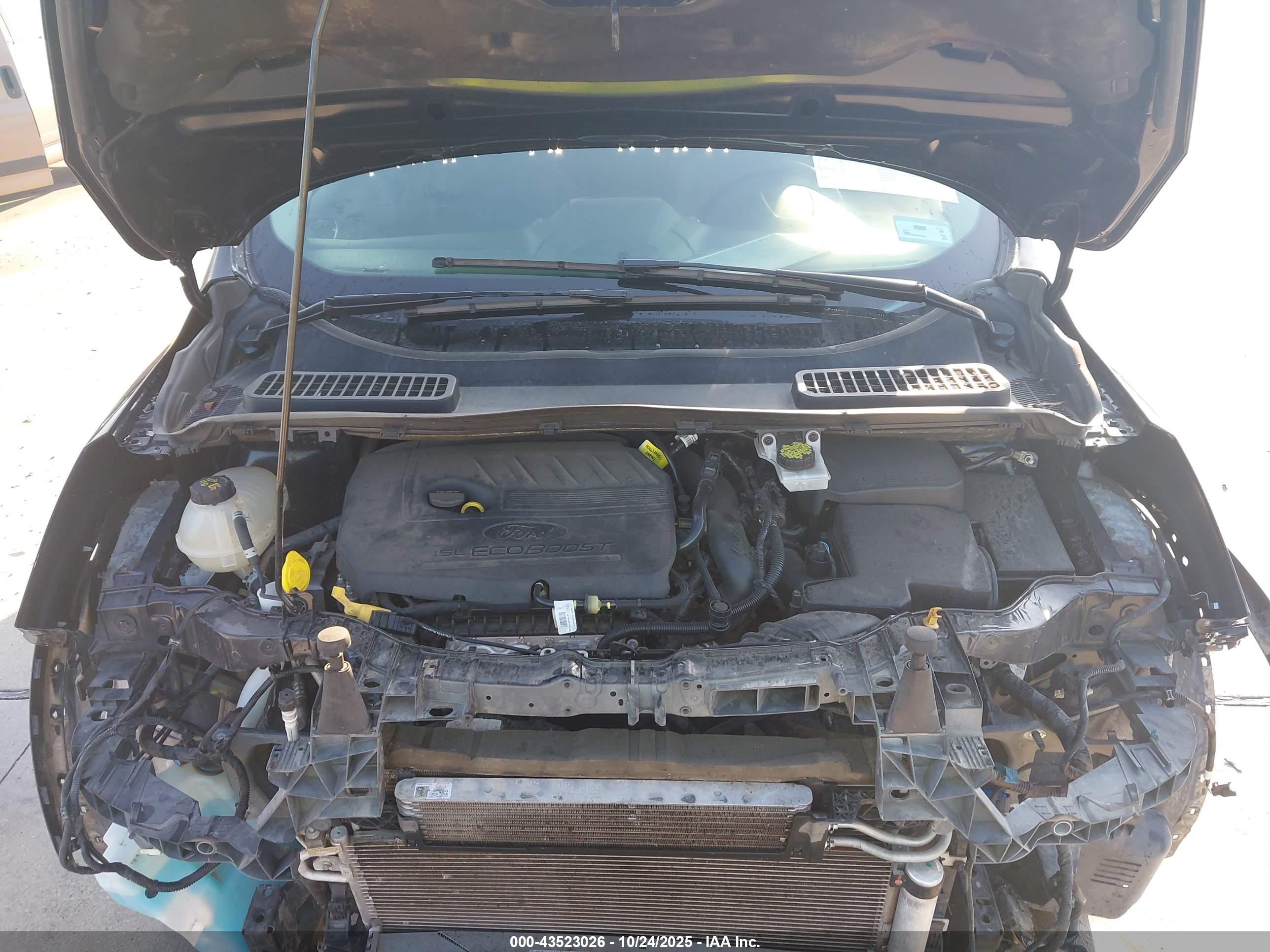 FORD ESCAPE image 10