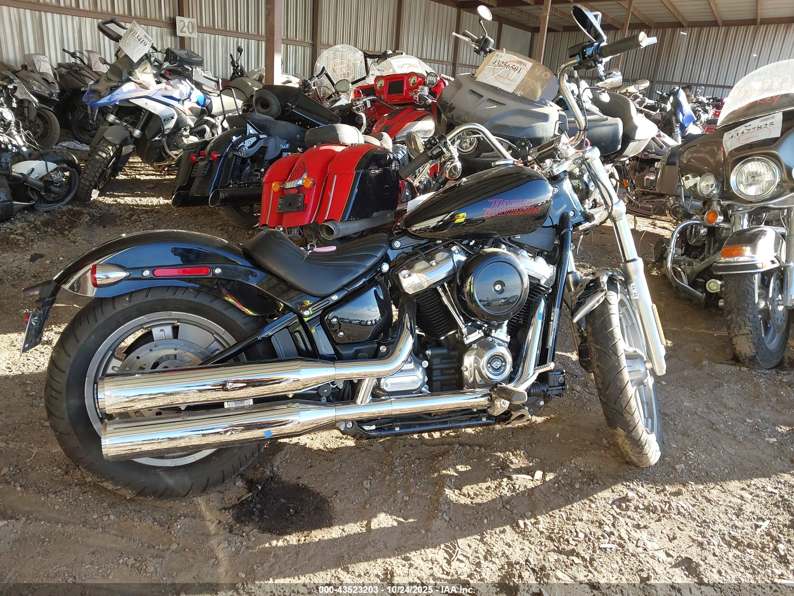 HARLEY-DAVIDSON FXST image 4