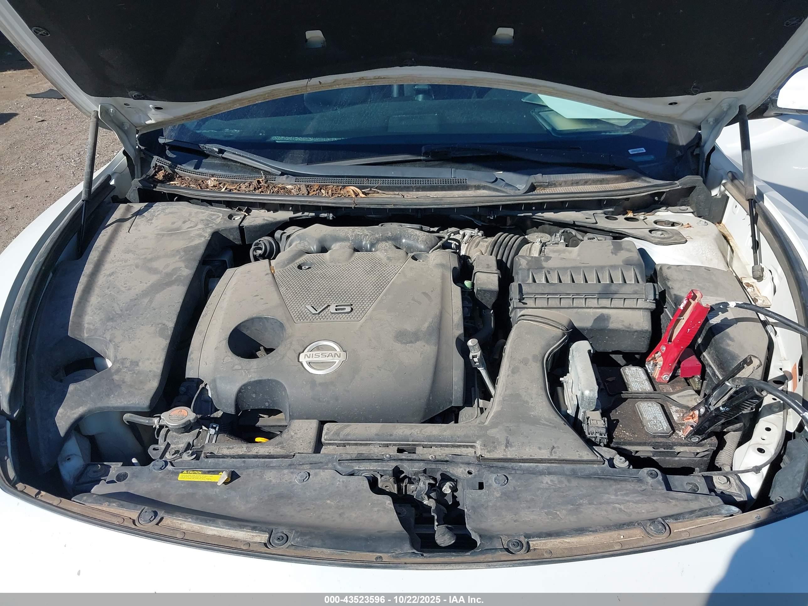 NISSAN MAXIMA image 10