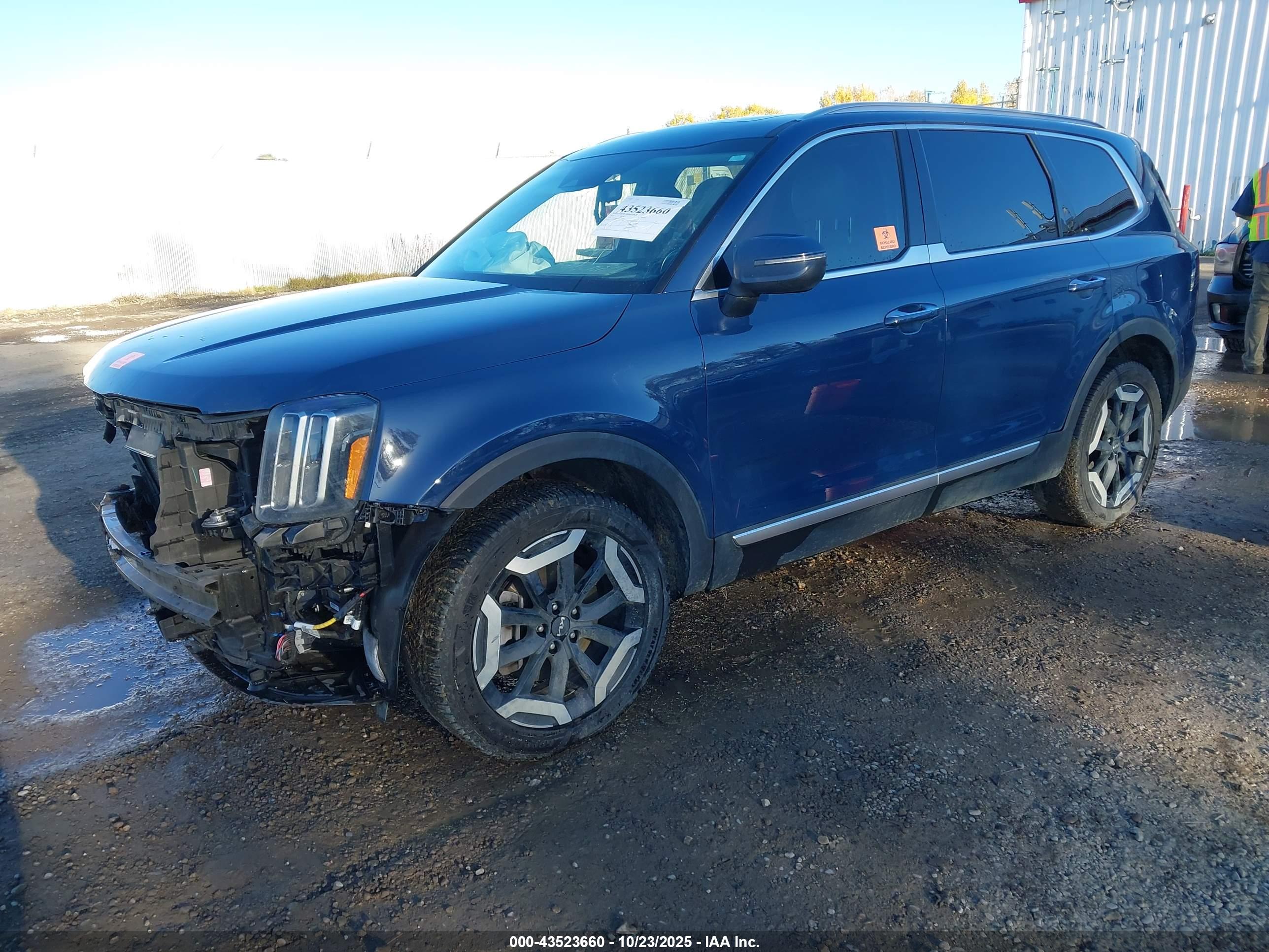 KIA TELLURIDE image 2