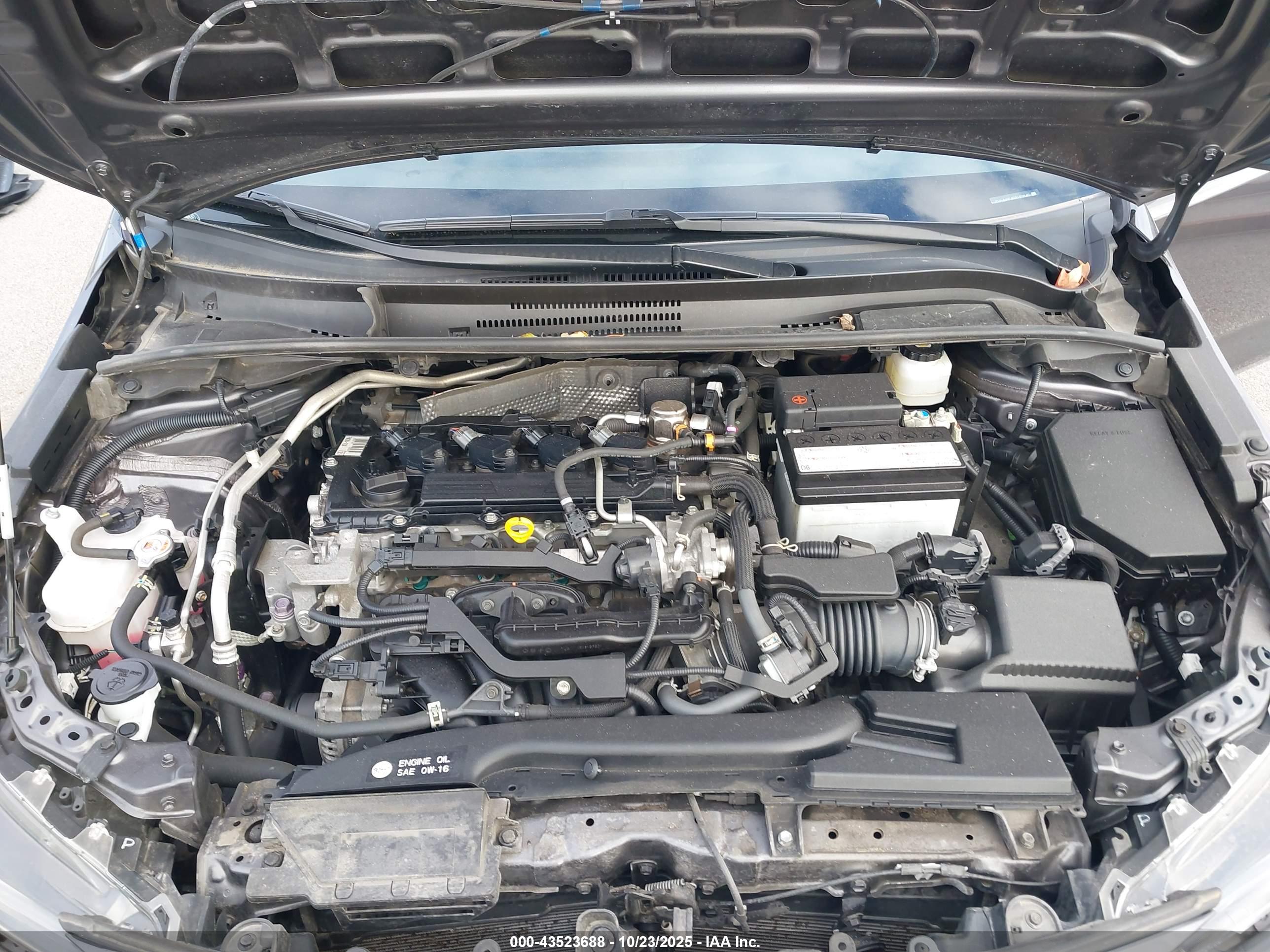 TOYOTA COROLLA image 10