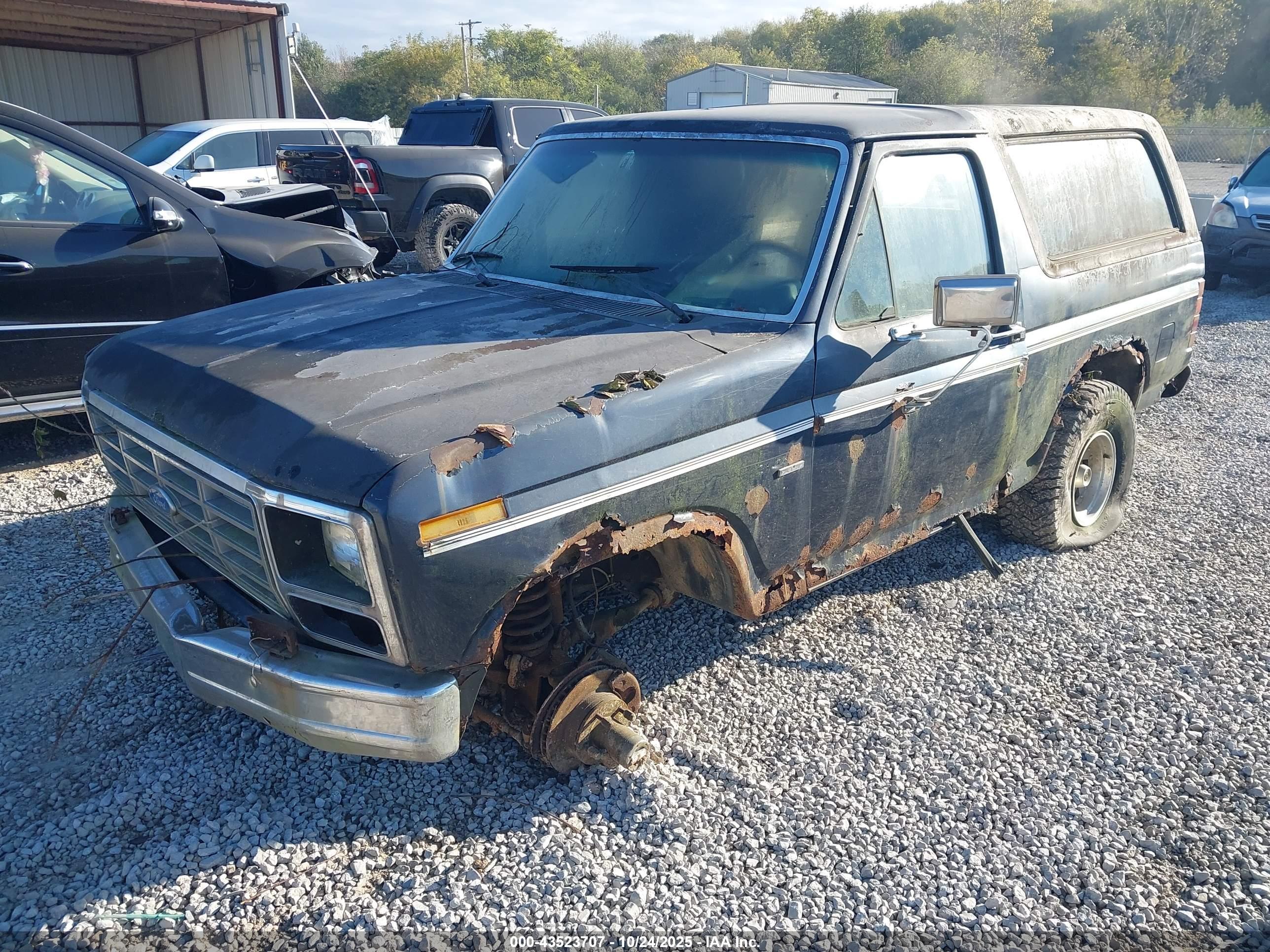 FORD BRONCO image 2