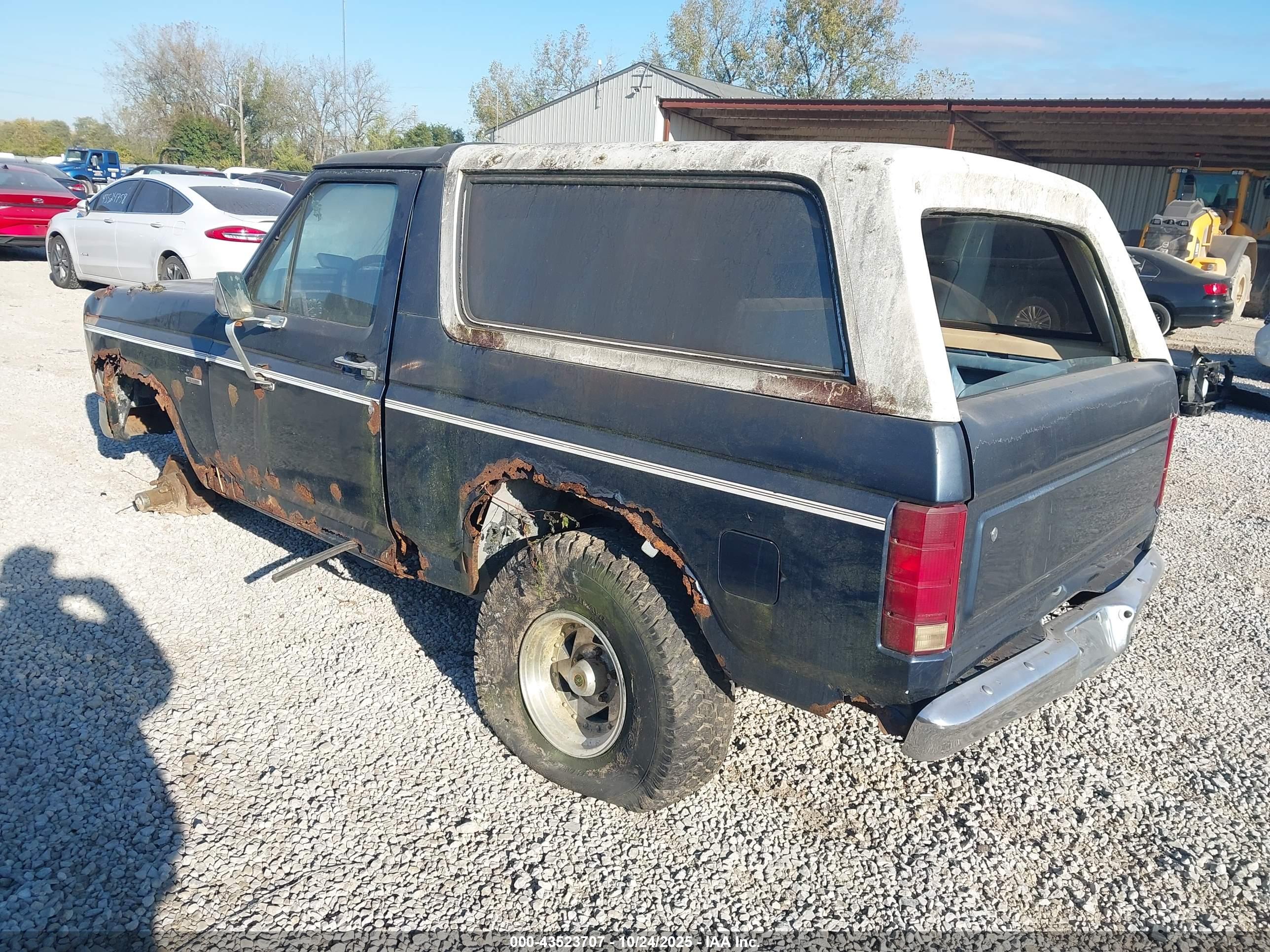 FORD BRONCO image 3