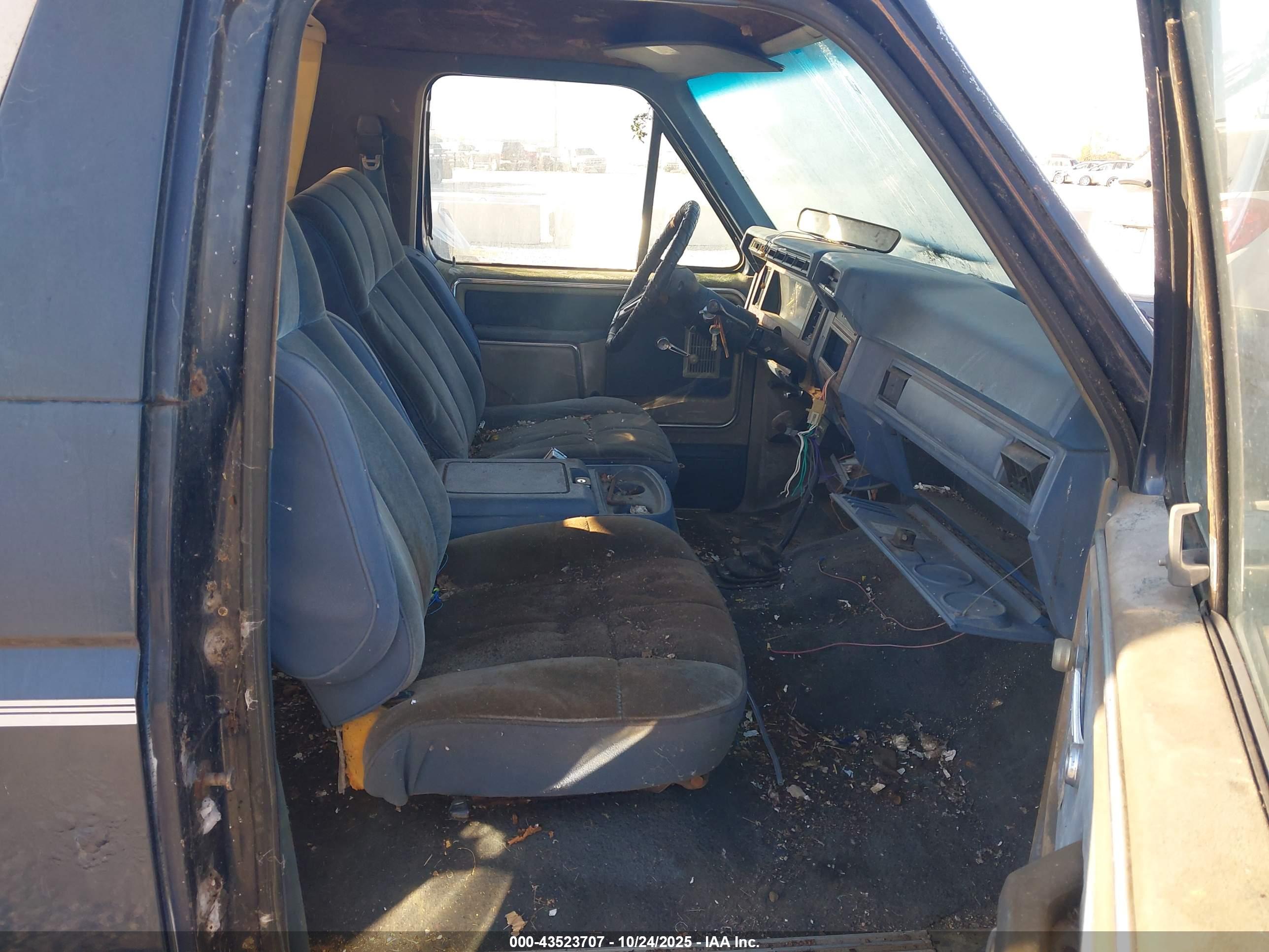 FORD BRONCO image 5