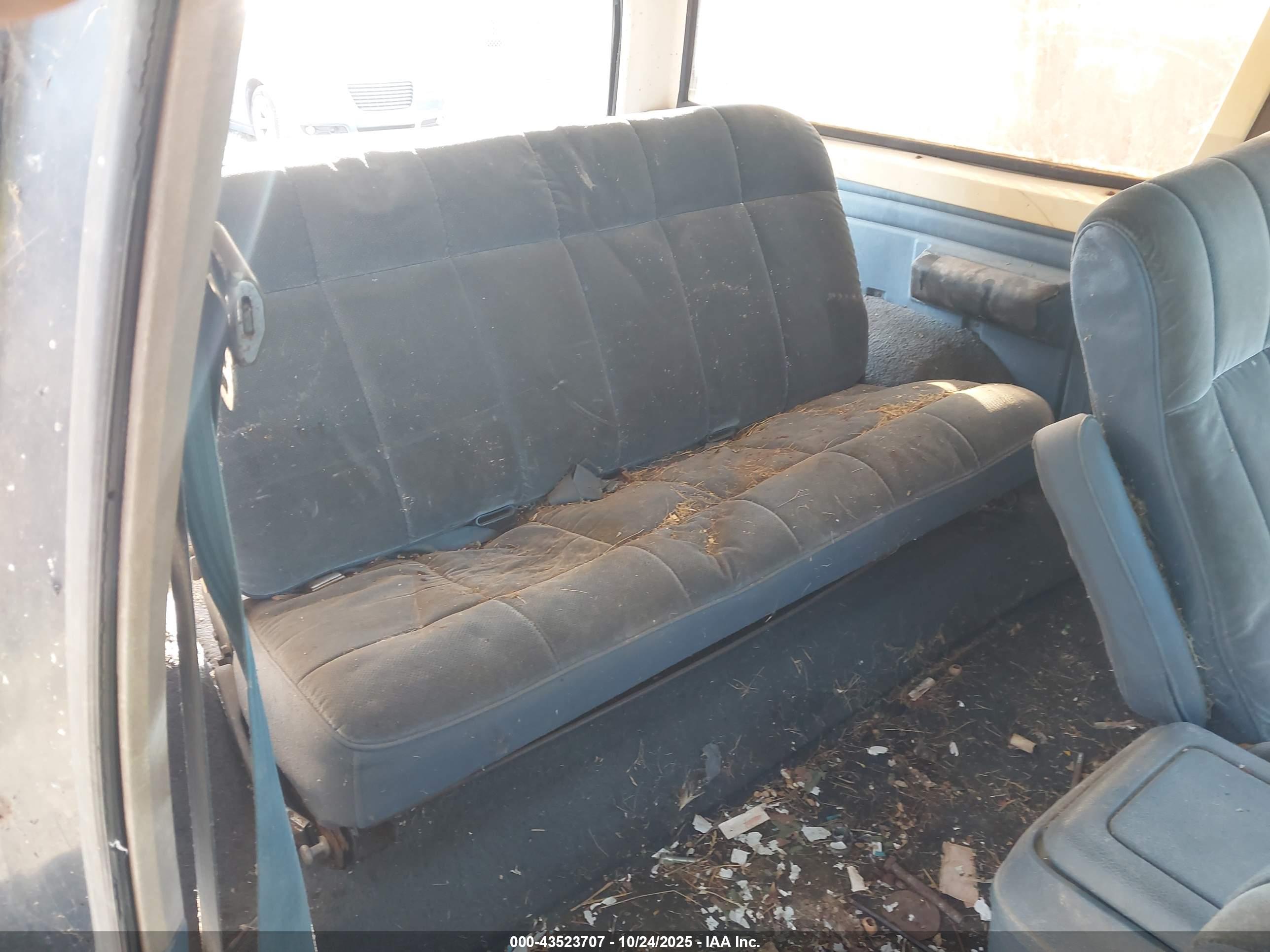 FORD BRONCO image 8