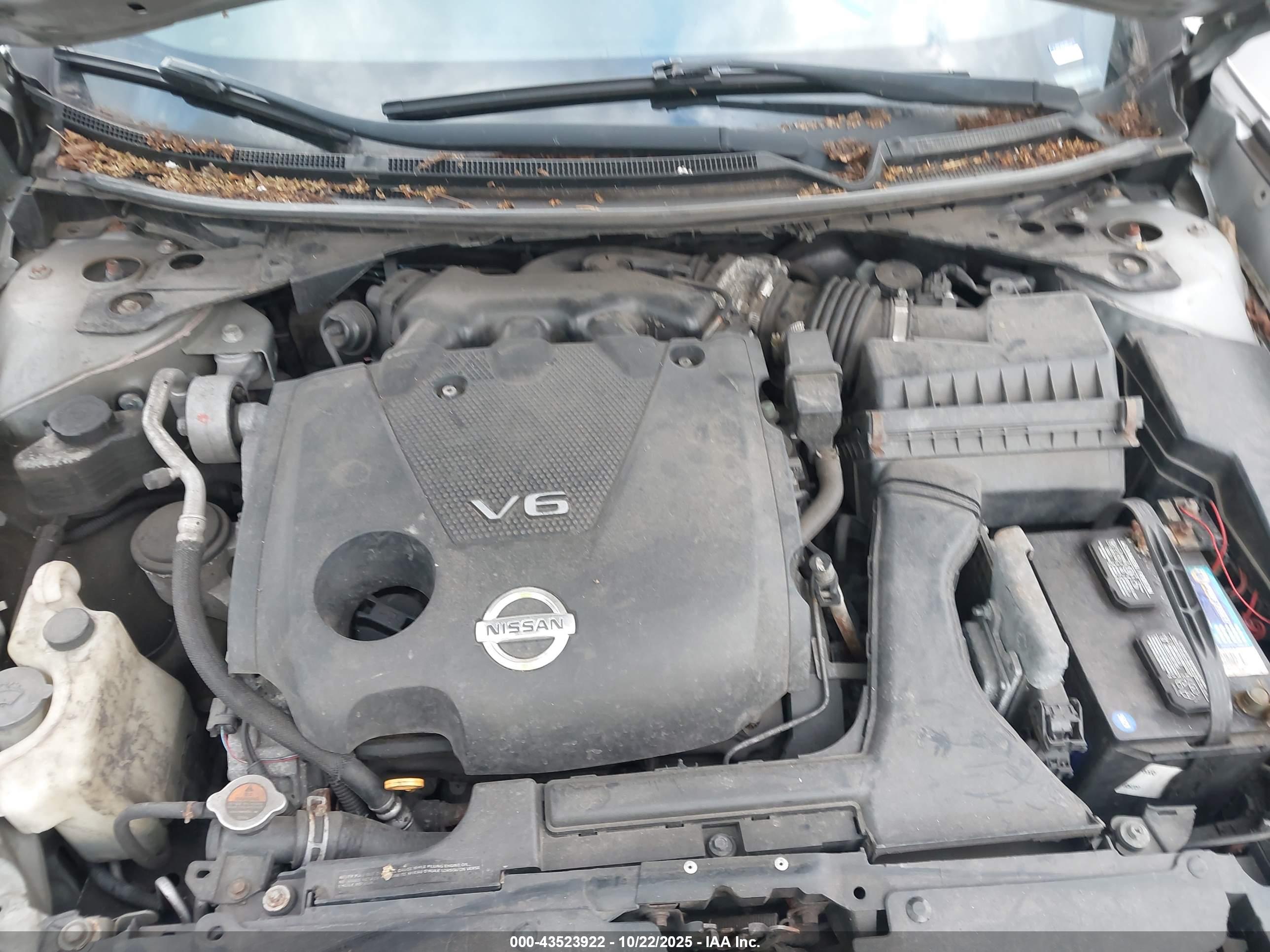 NISSAN MAXIMA image 10