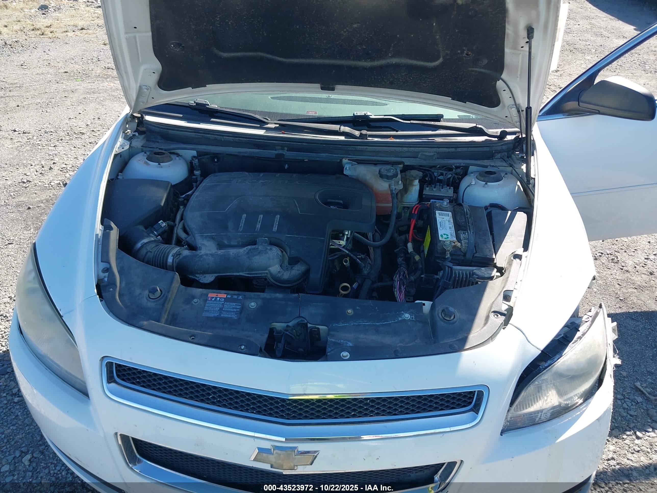 CHEVROLET MALIBU image 10