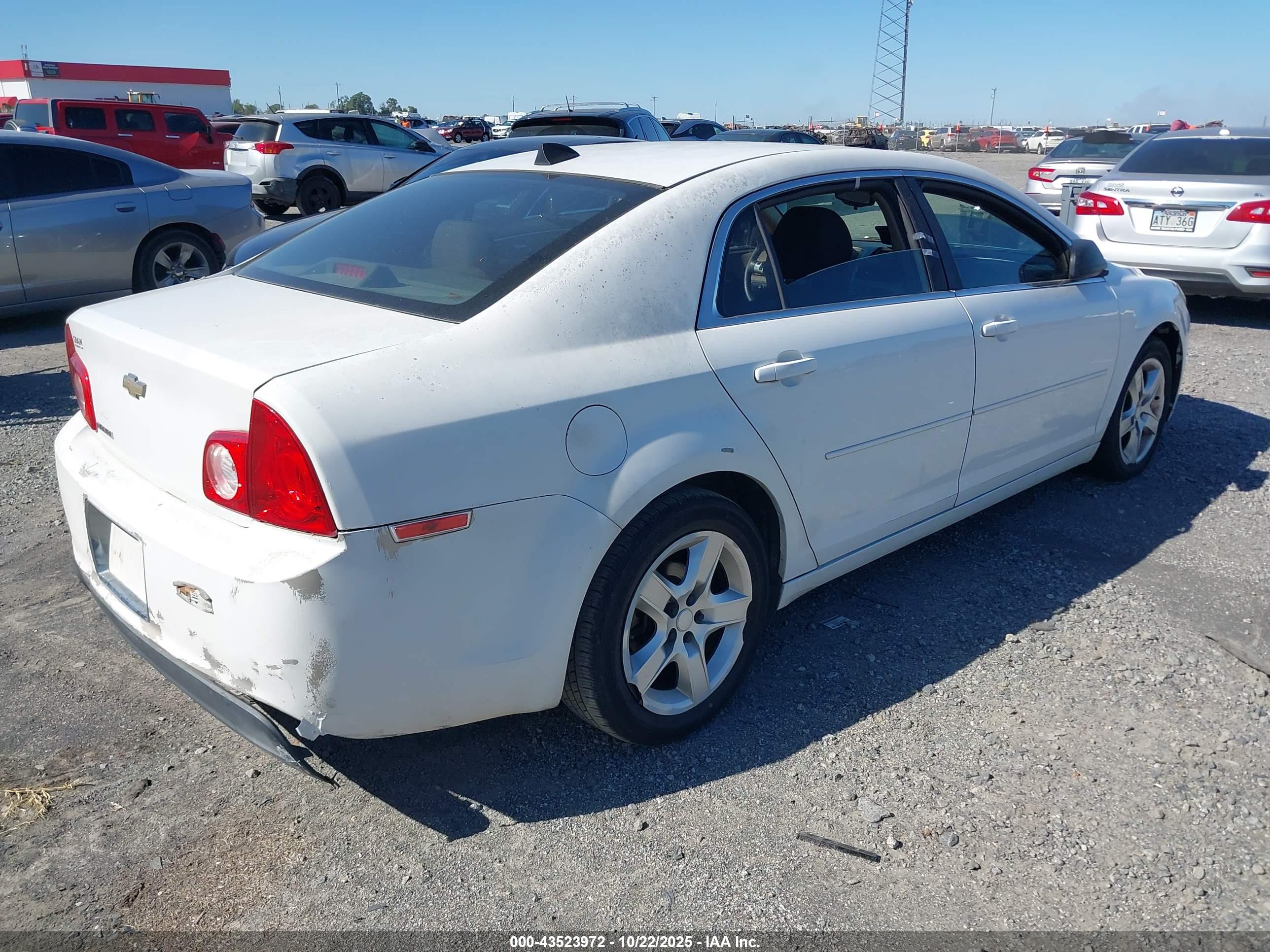 CHEVROLET MALIBU image 4