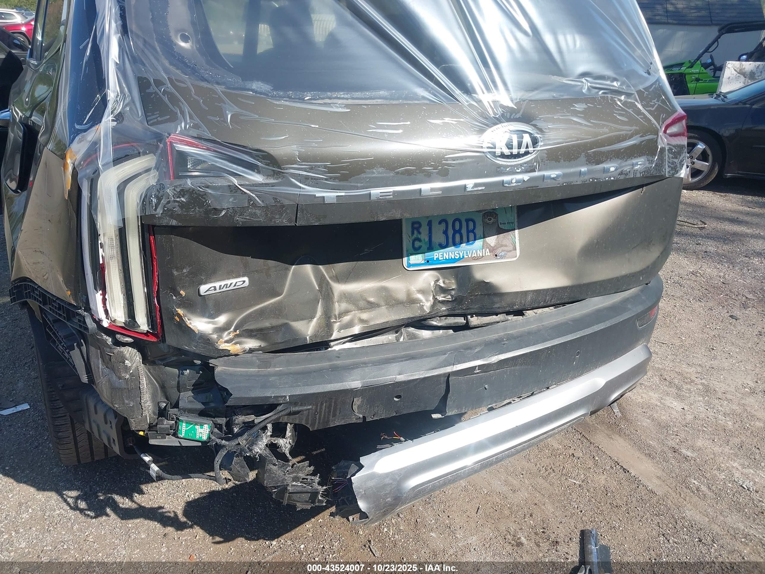 KIA TELLURIDE image 6