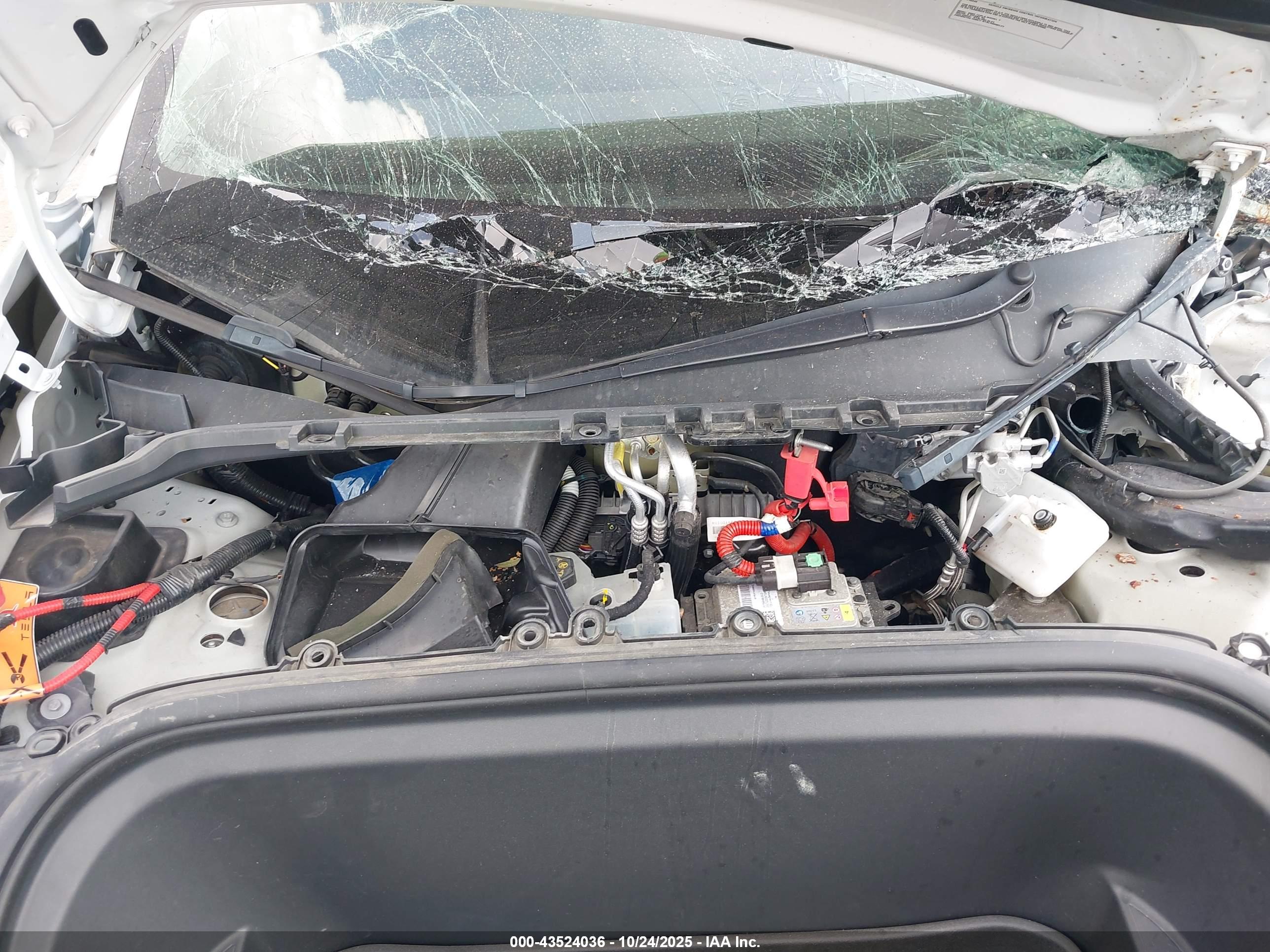 TESLA MODEL image 10