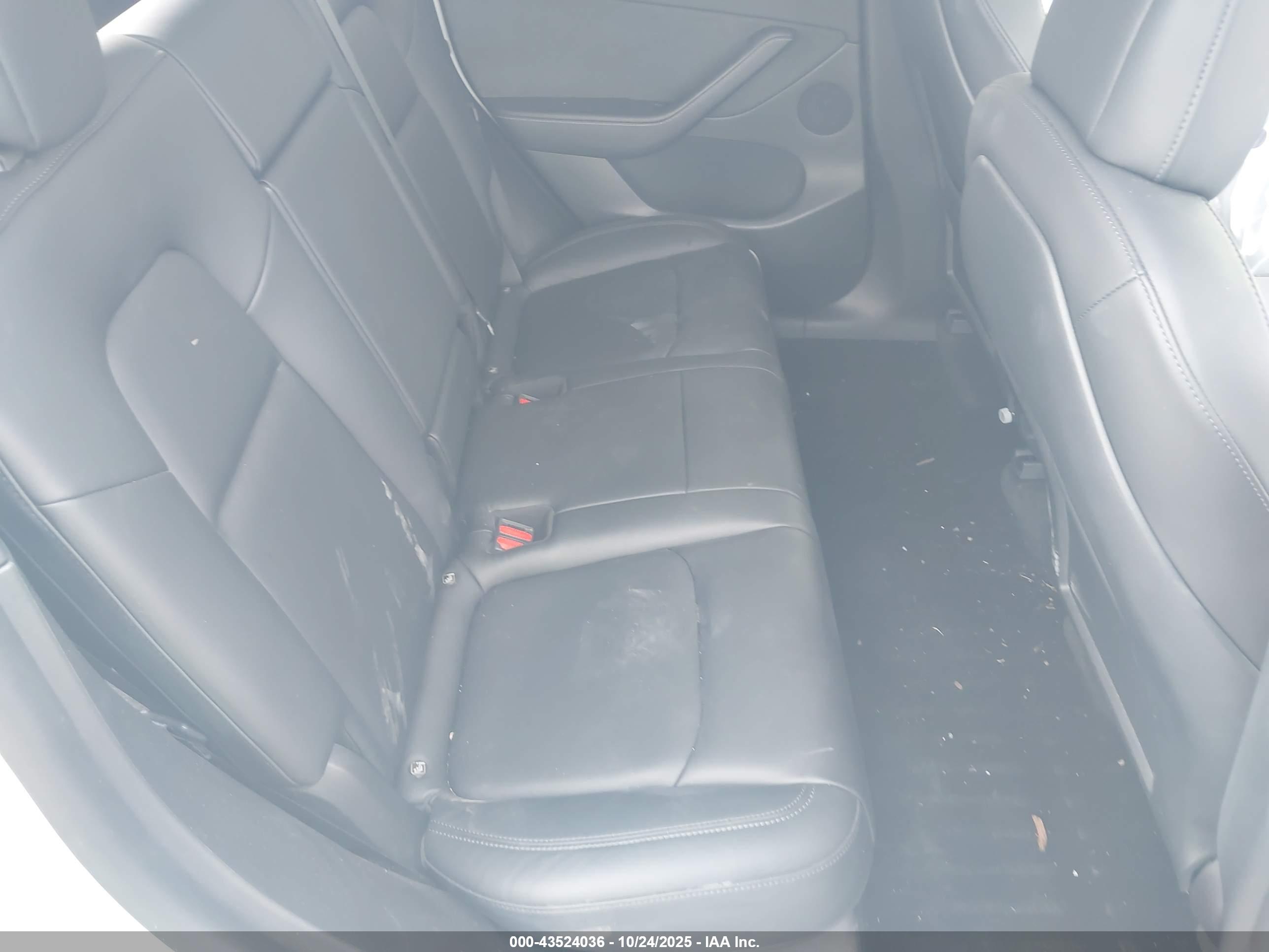 TESLA MODEL image 8