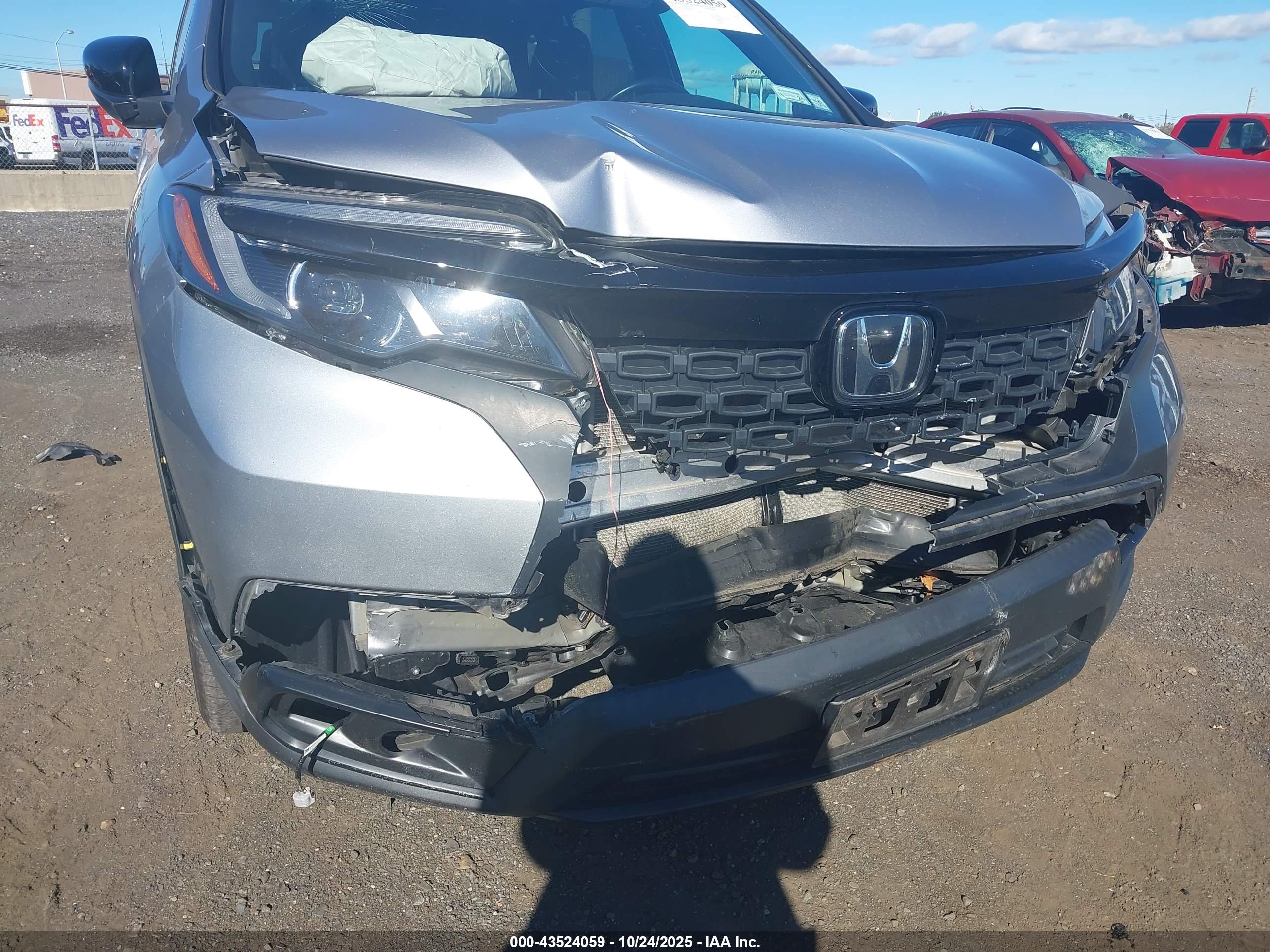 HONDA PASSPORT image 6