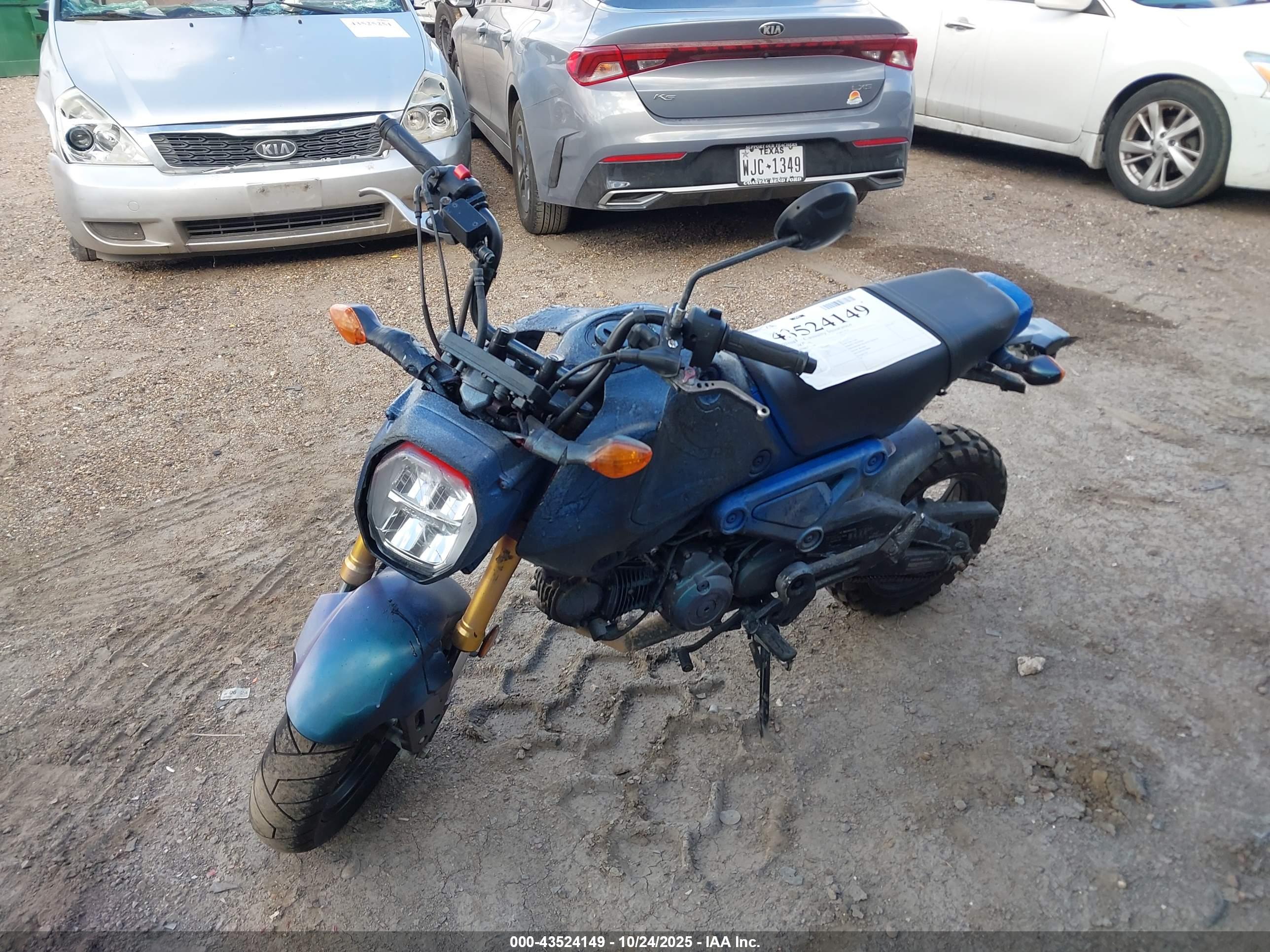 HONDA GROM image 2