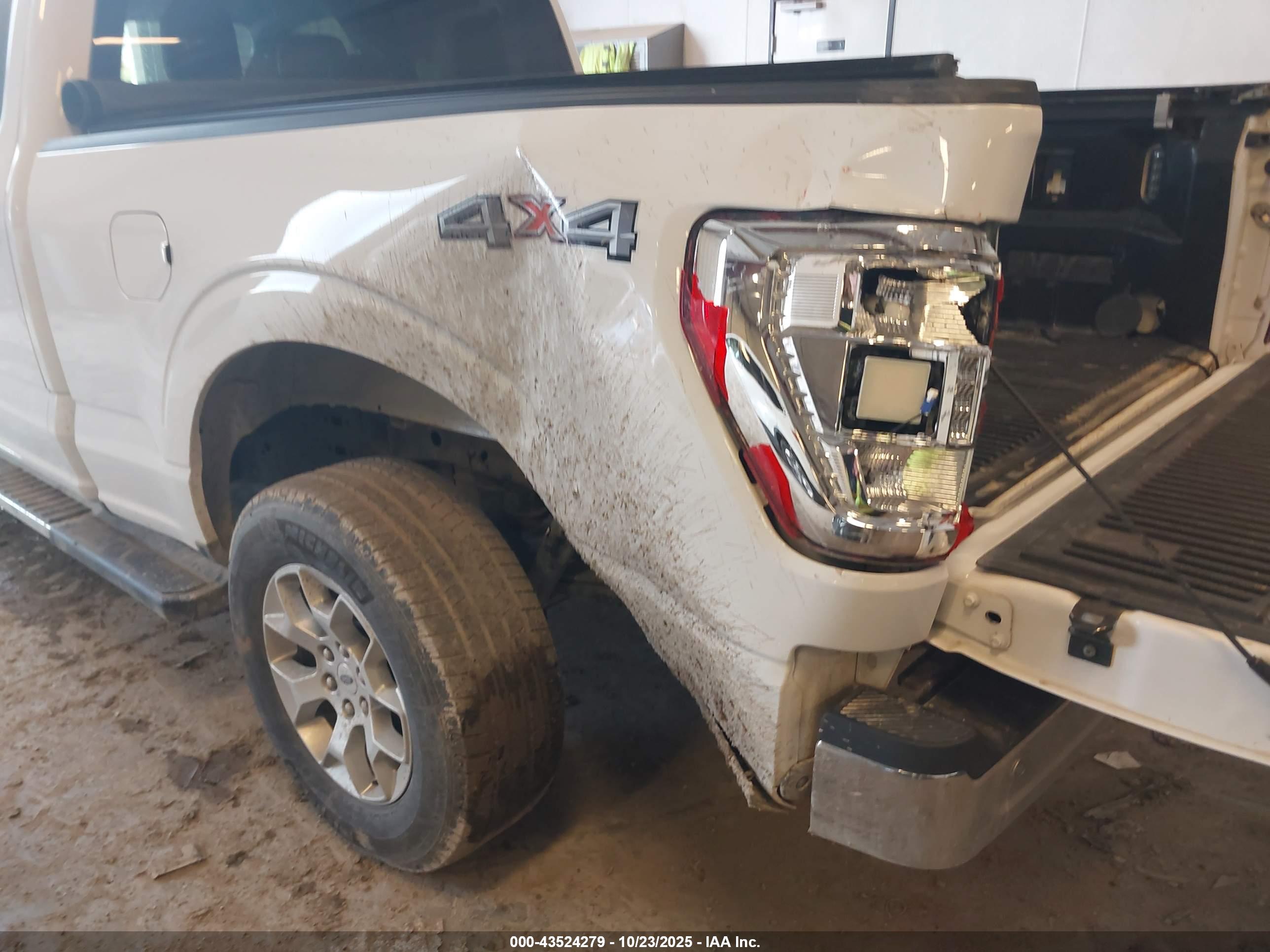 FORD F-150 image 6