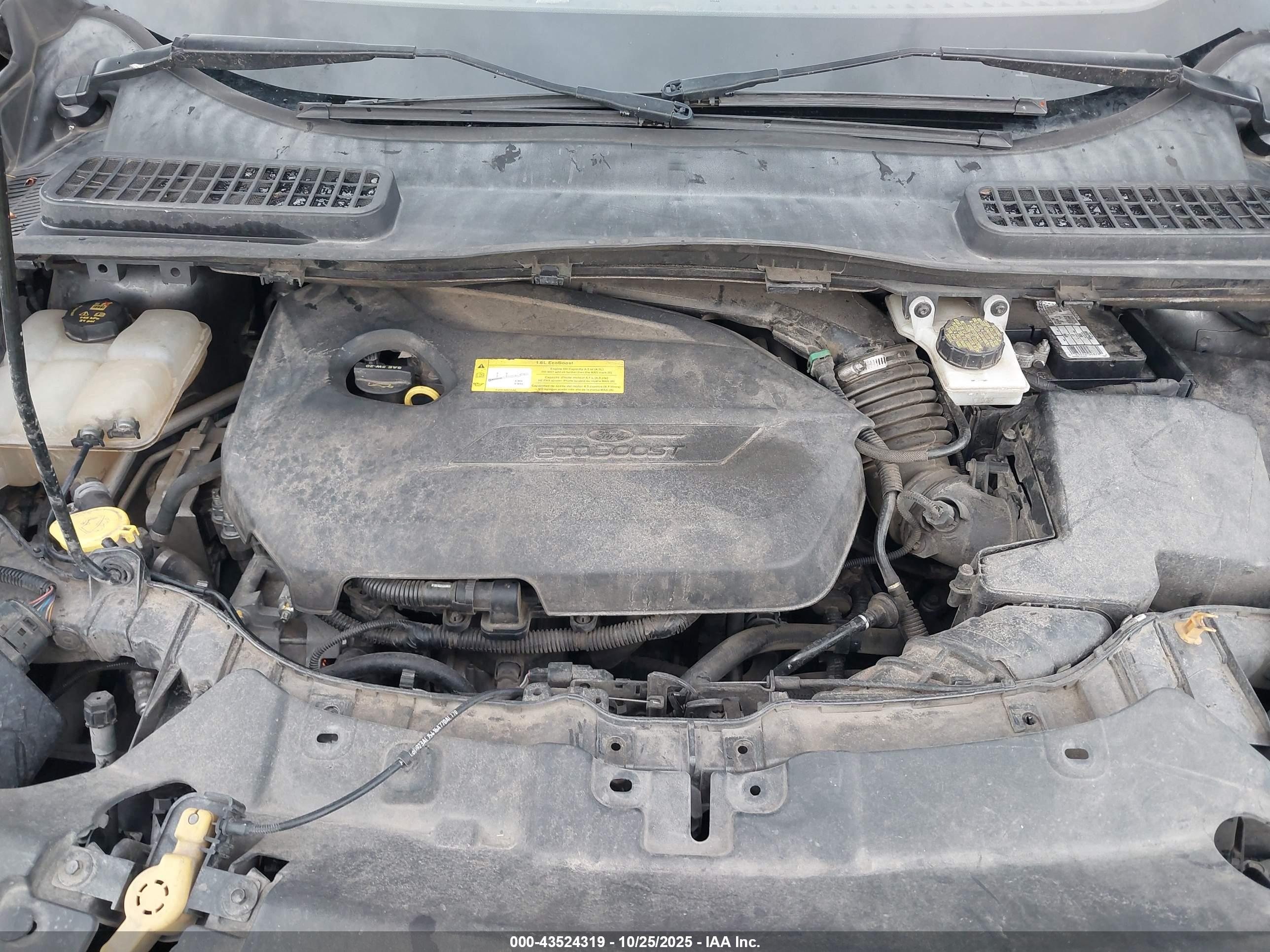 FORD ESCAPE image 10