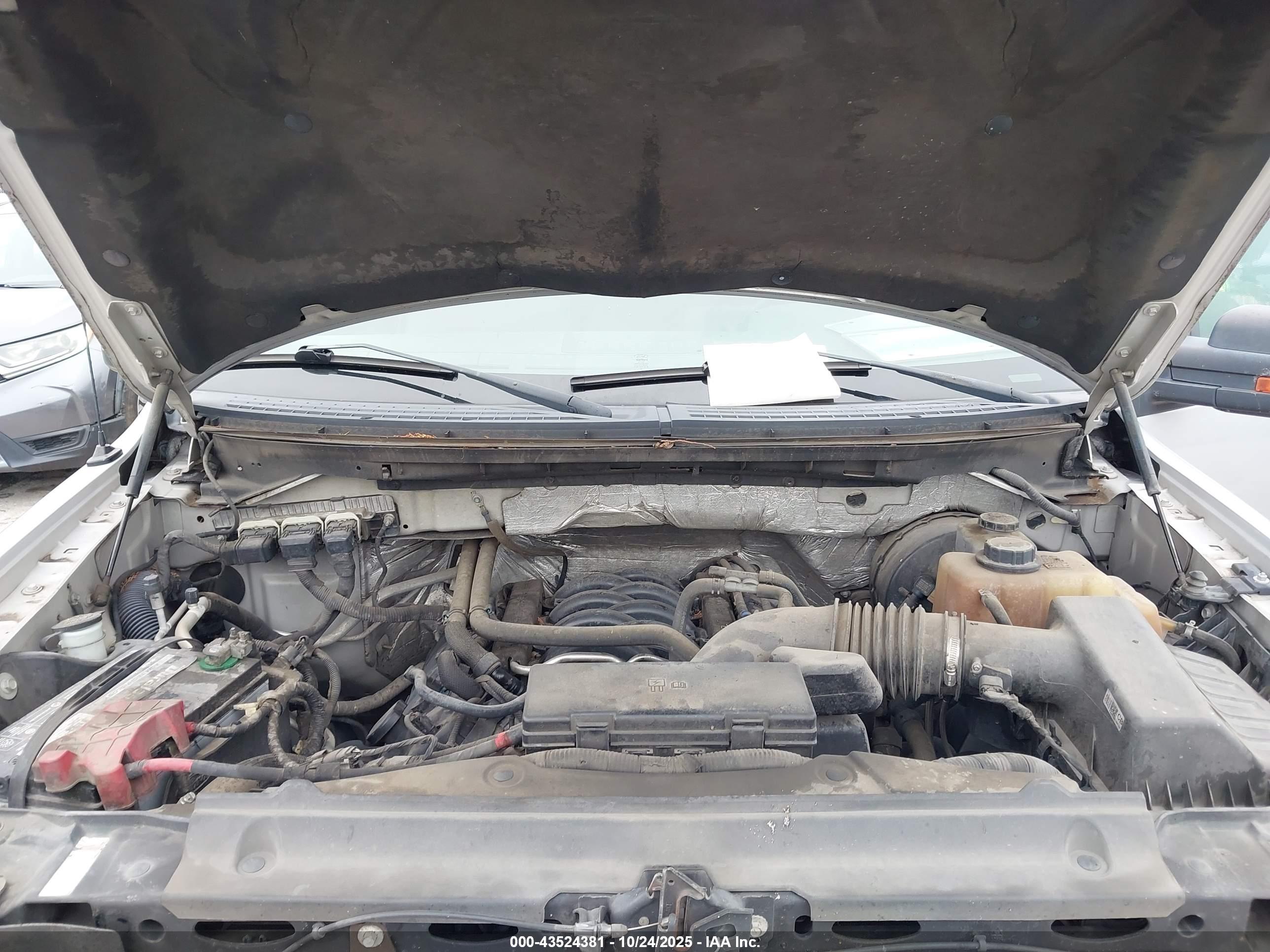 FORD F-150 image 10