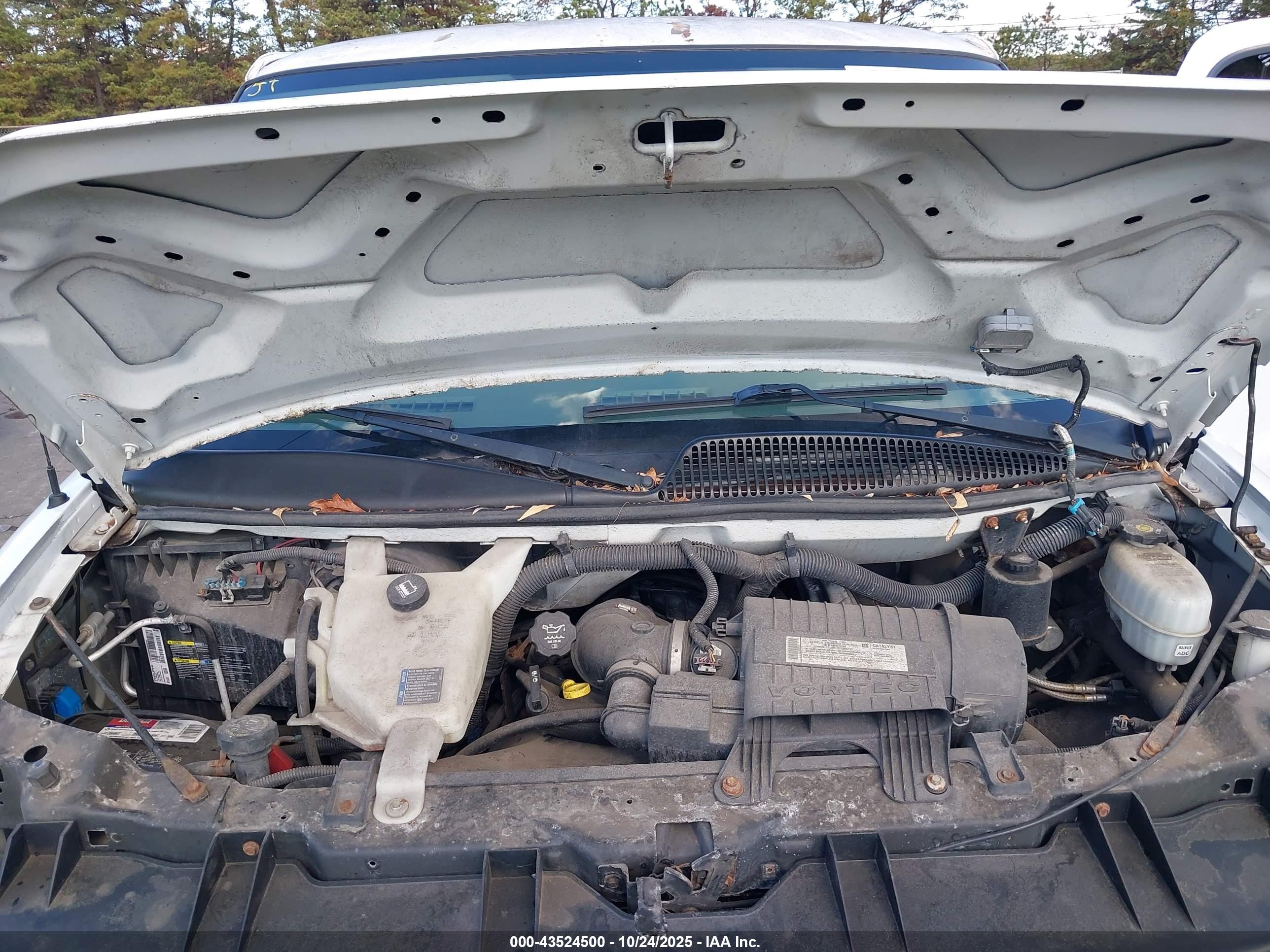 CHEVROLET EXPRESS image 10